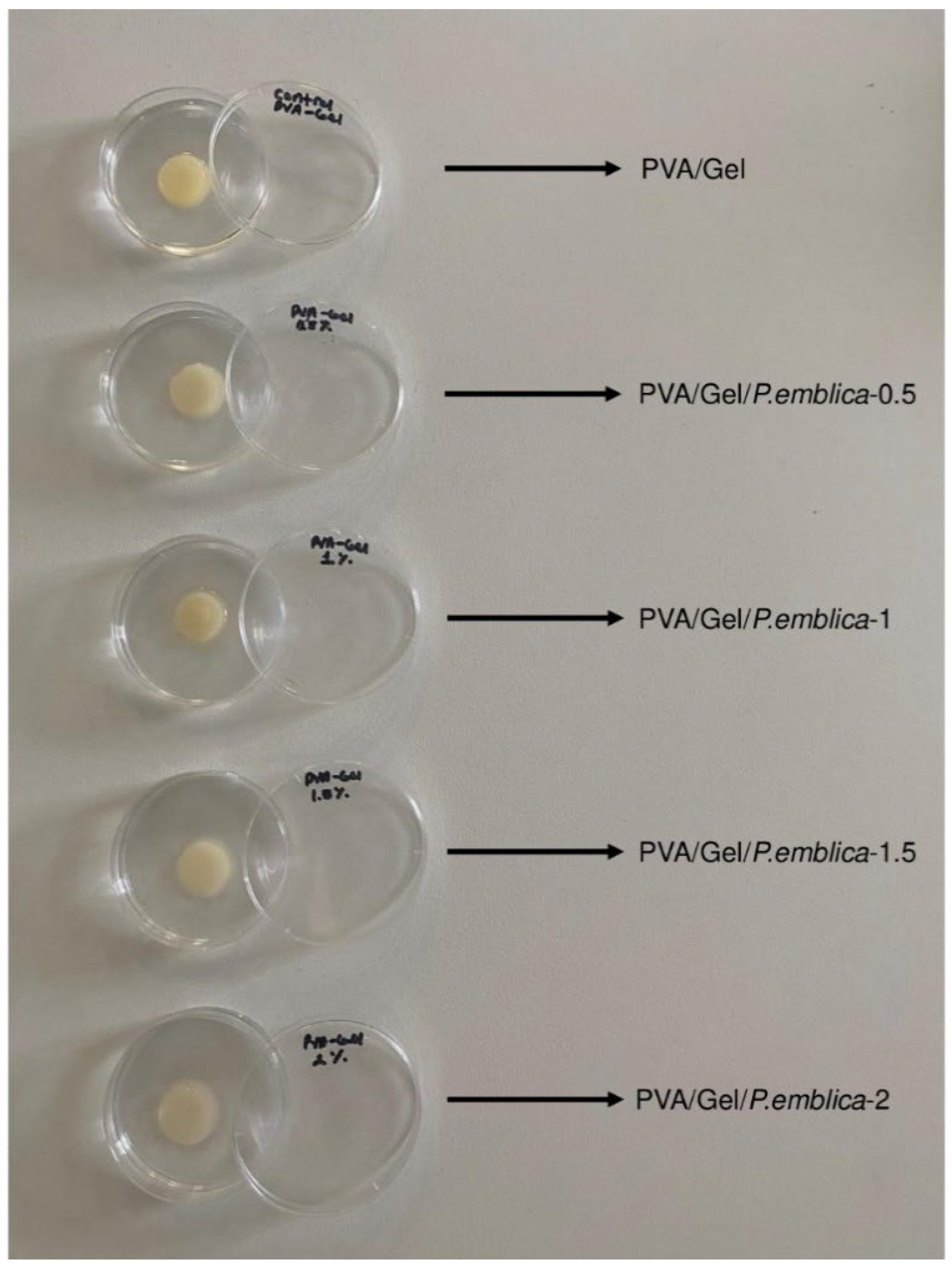 Preprints 99003 g002