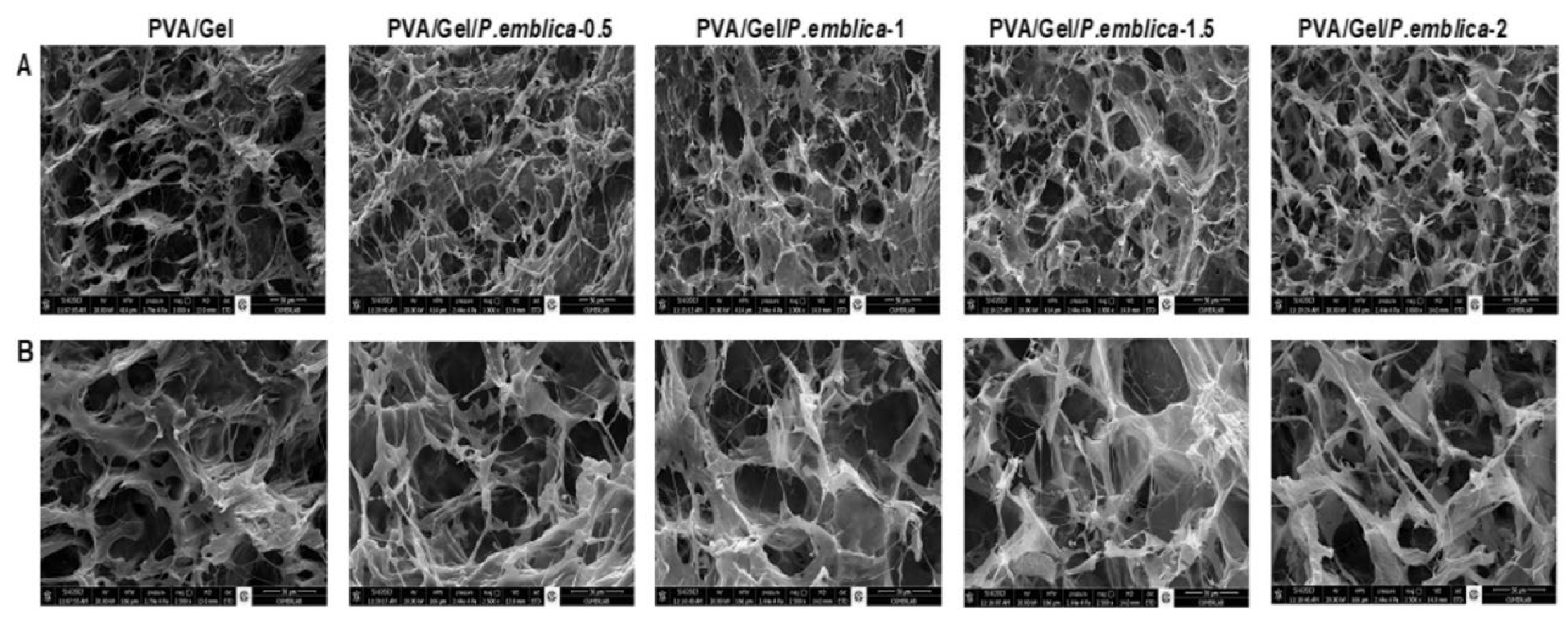 Preprints 99003 g004