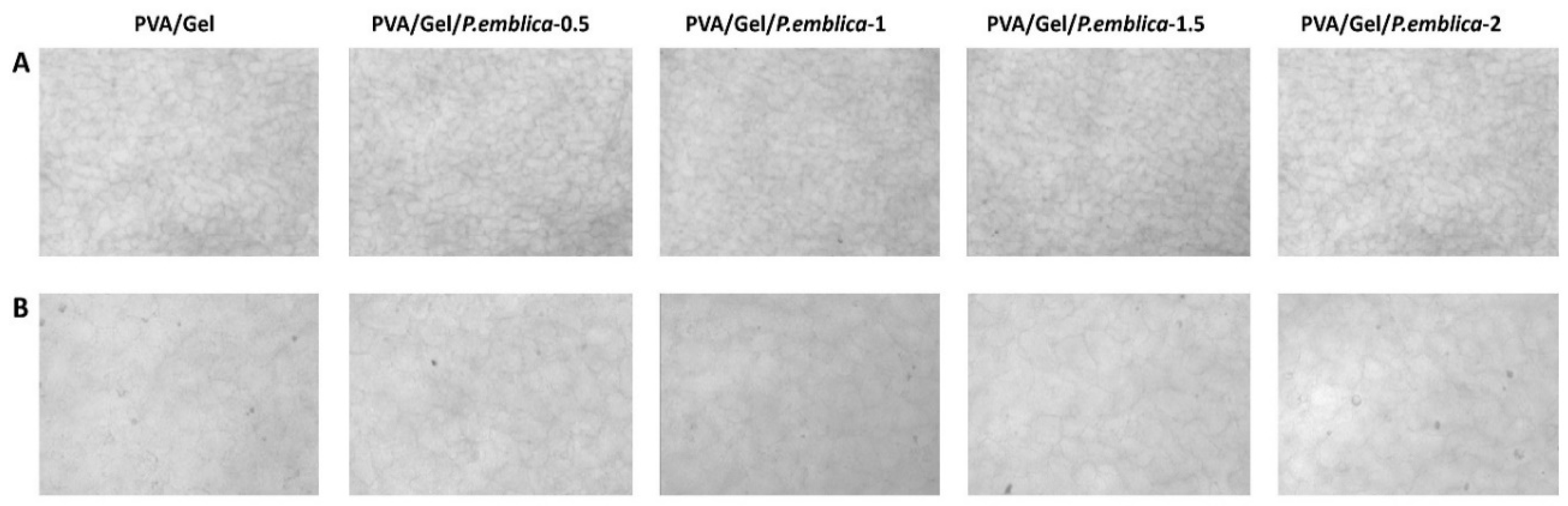 Preprints 99003 g005