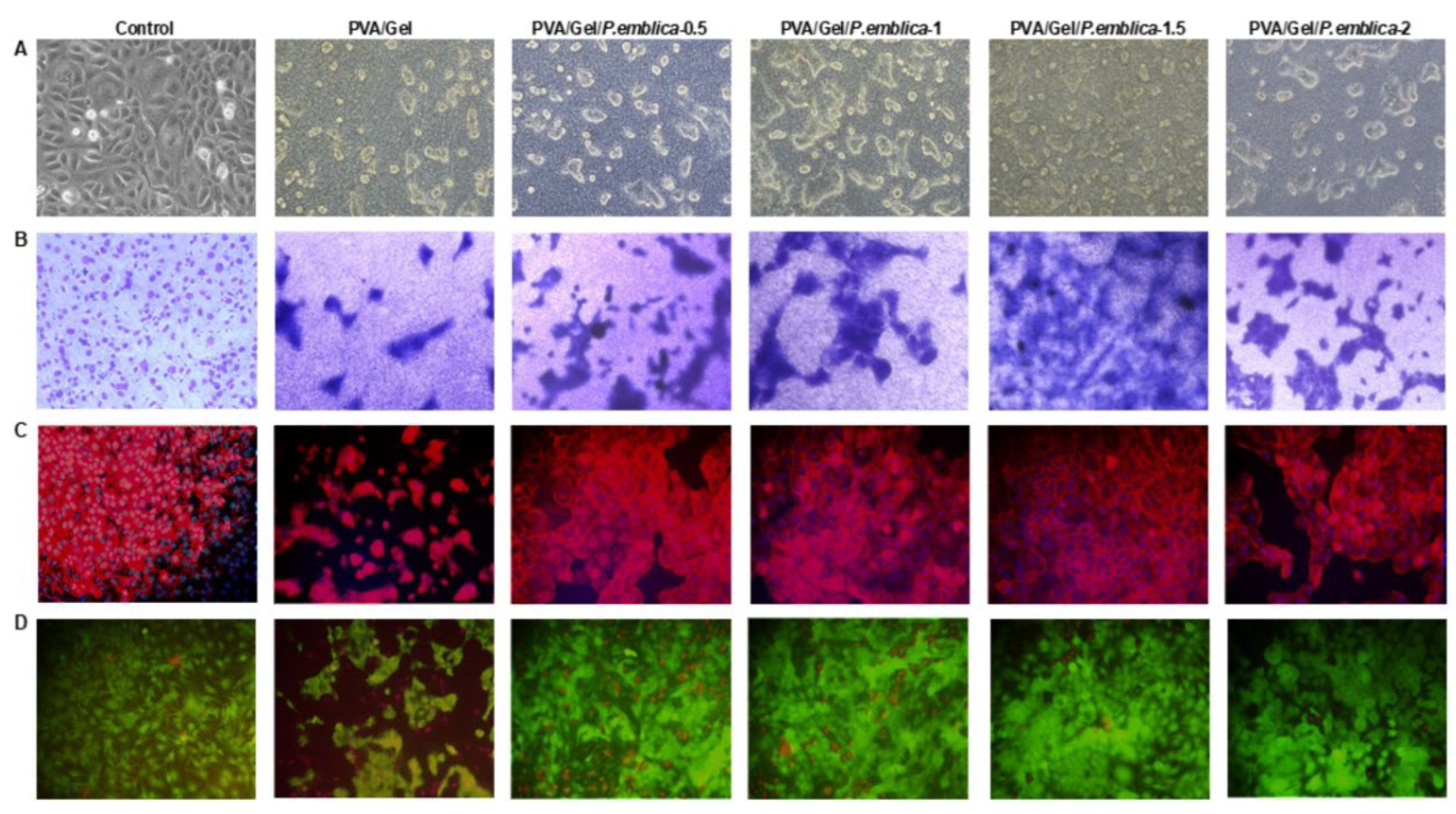 Preprints 99003 g009