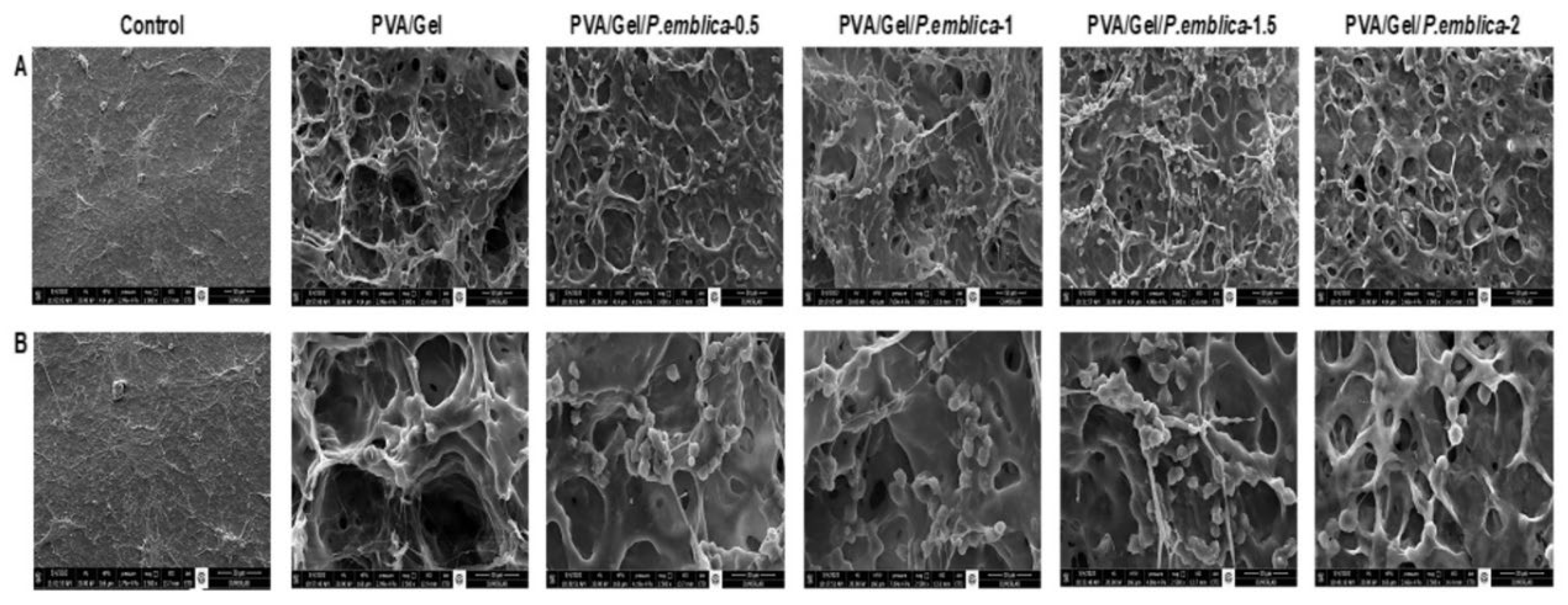 Preprints 99003 g011