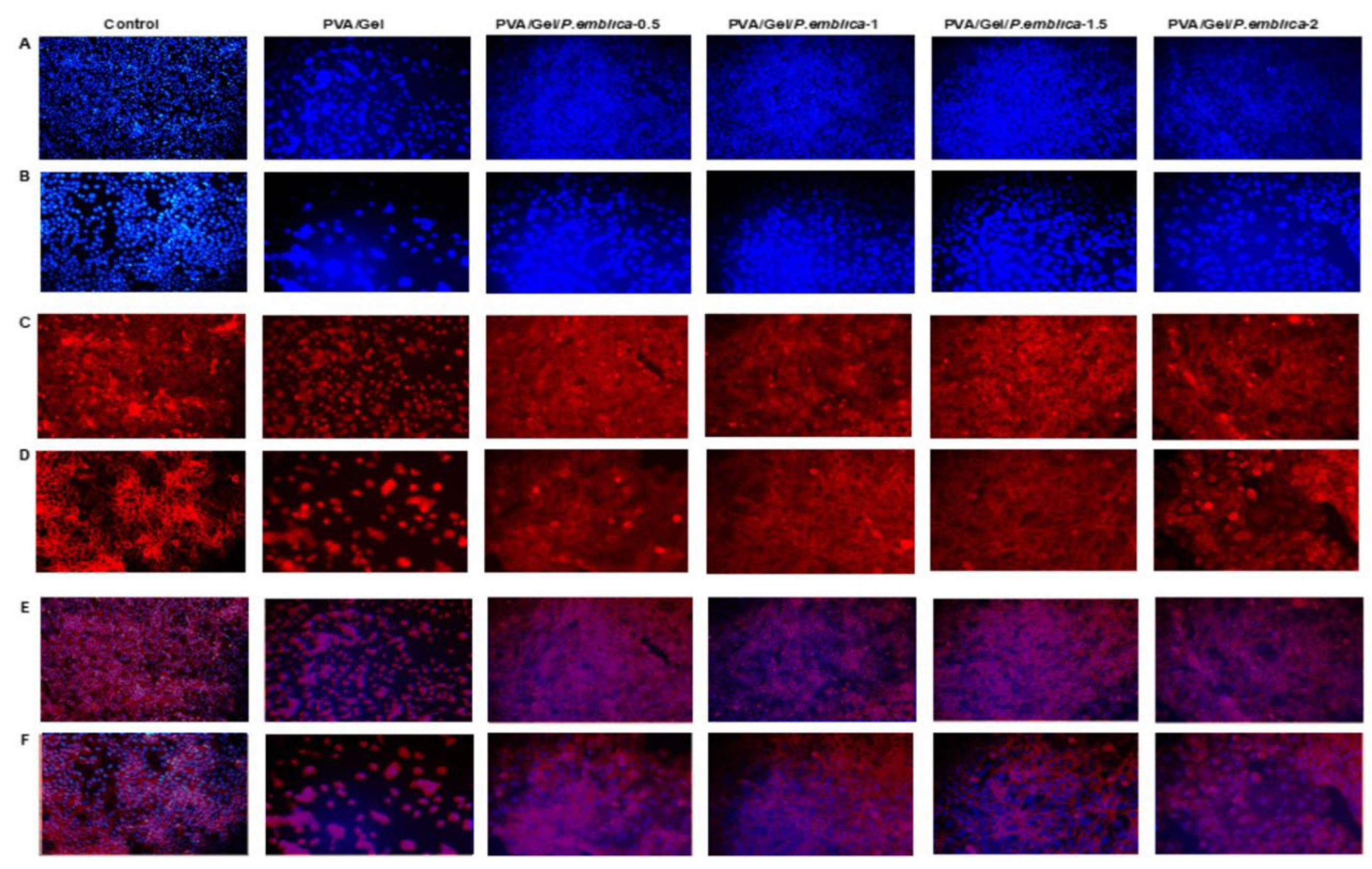 Preprints 99003 g012