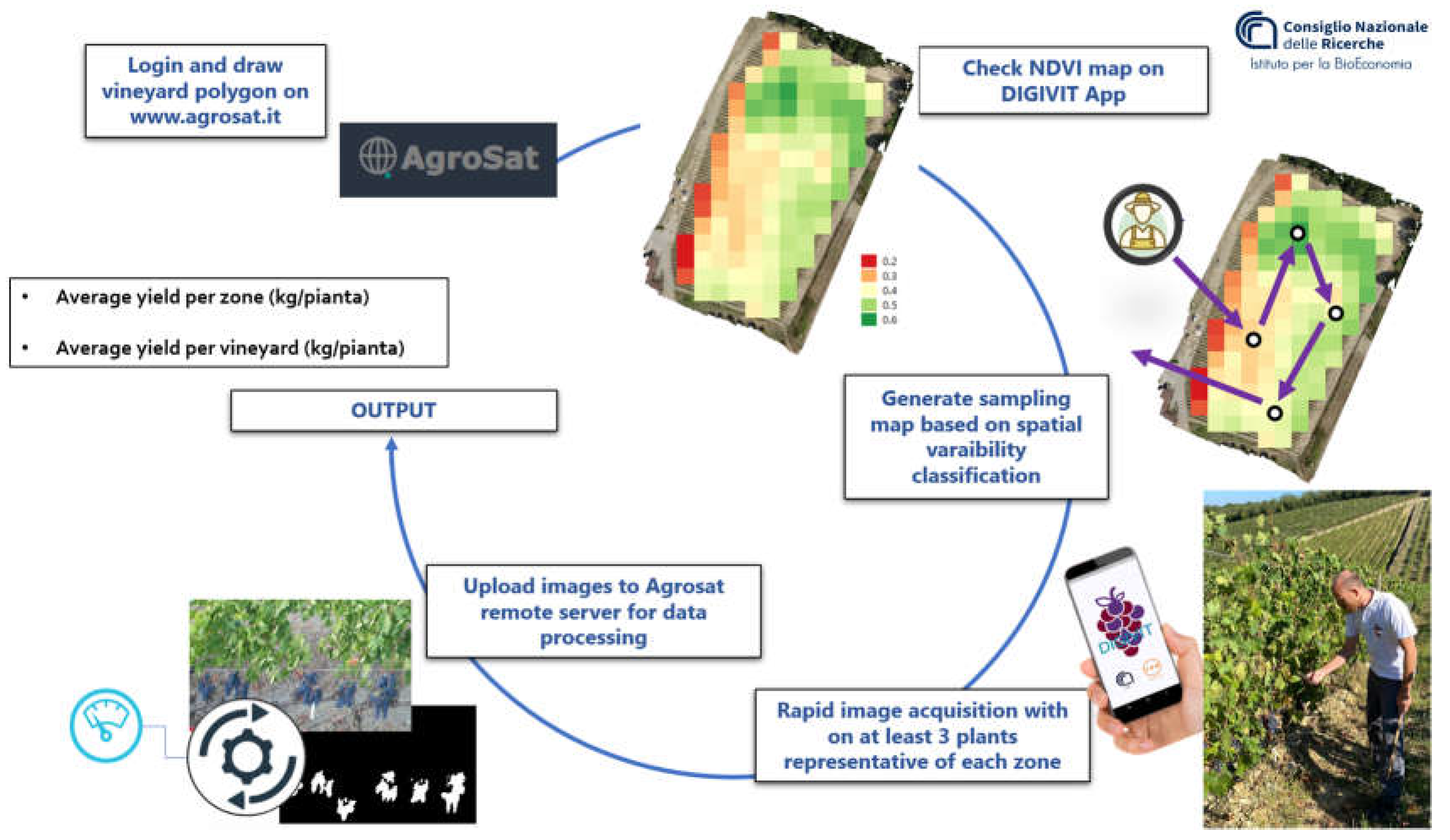 Preprints 114506 g001