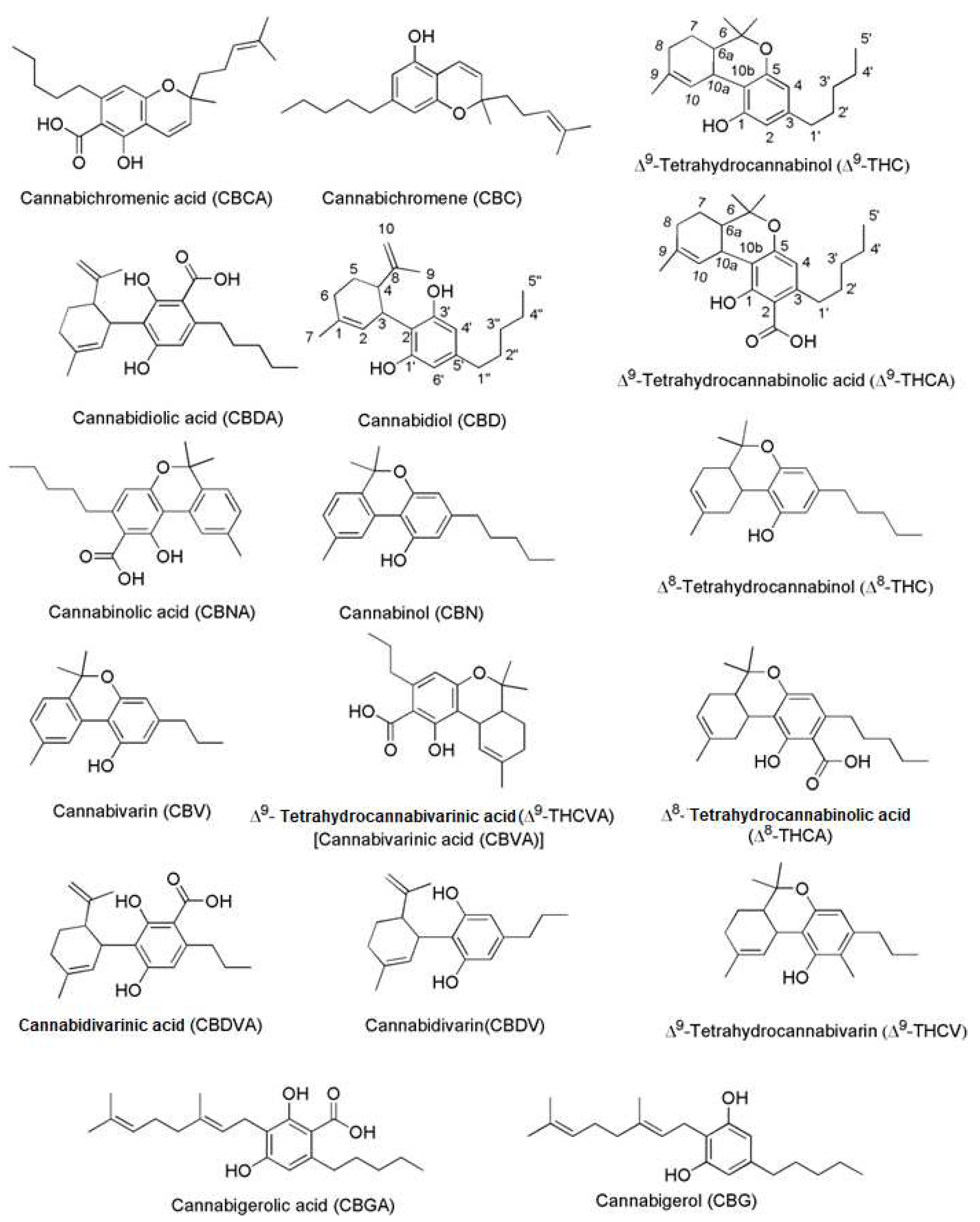 Preprints 73680 g002