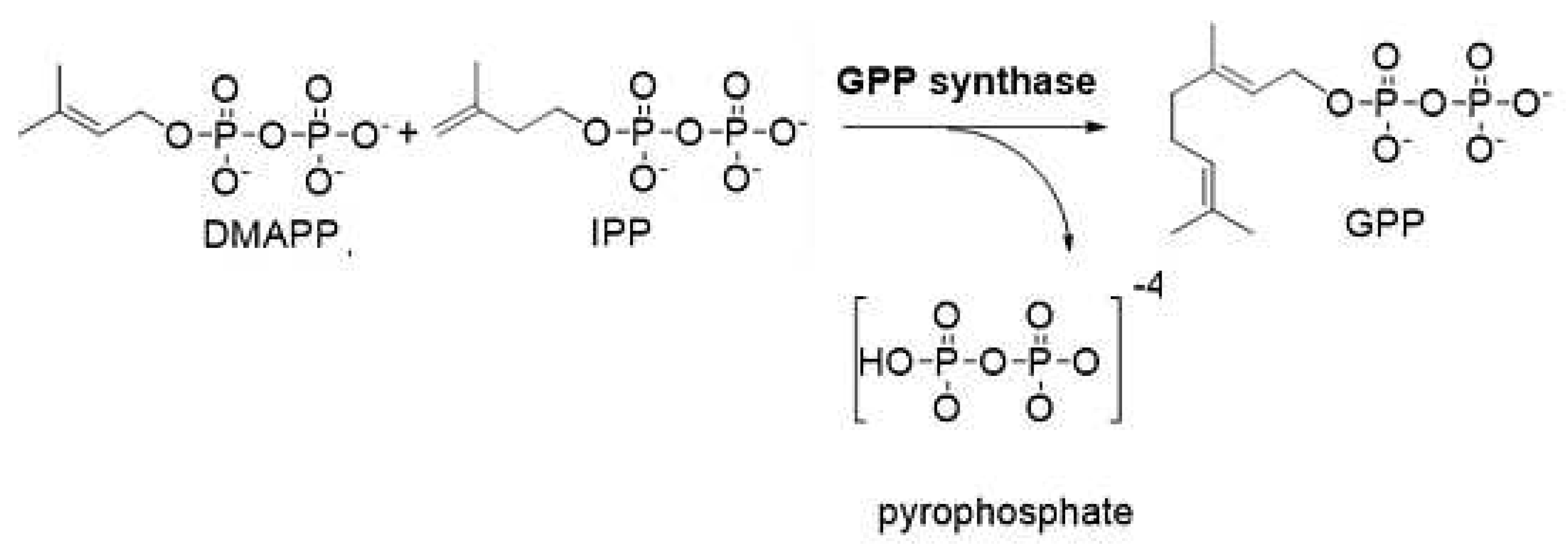 Preprints 73680 sch001