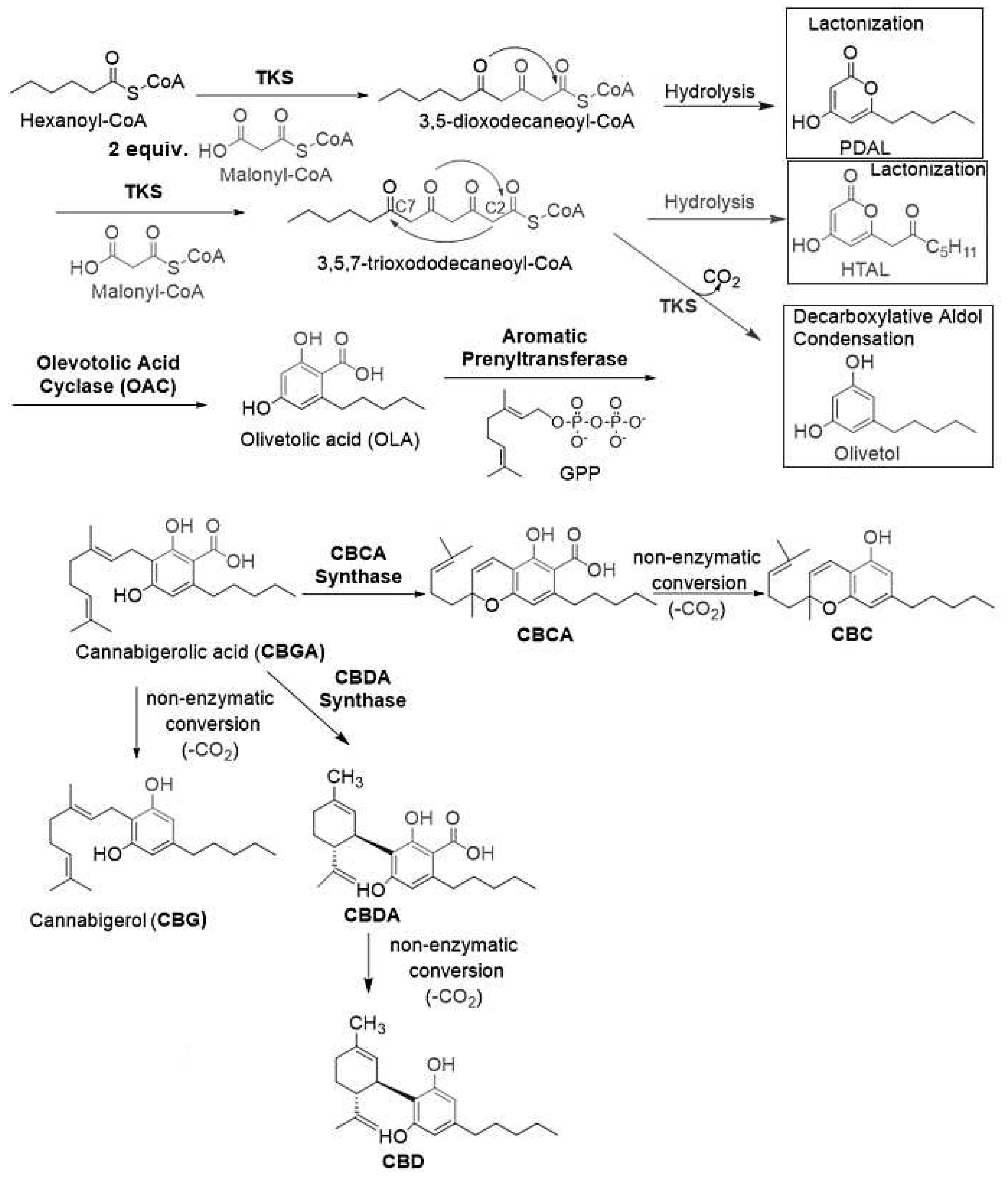 Preprints 73680 sch002