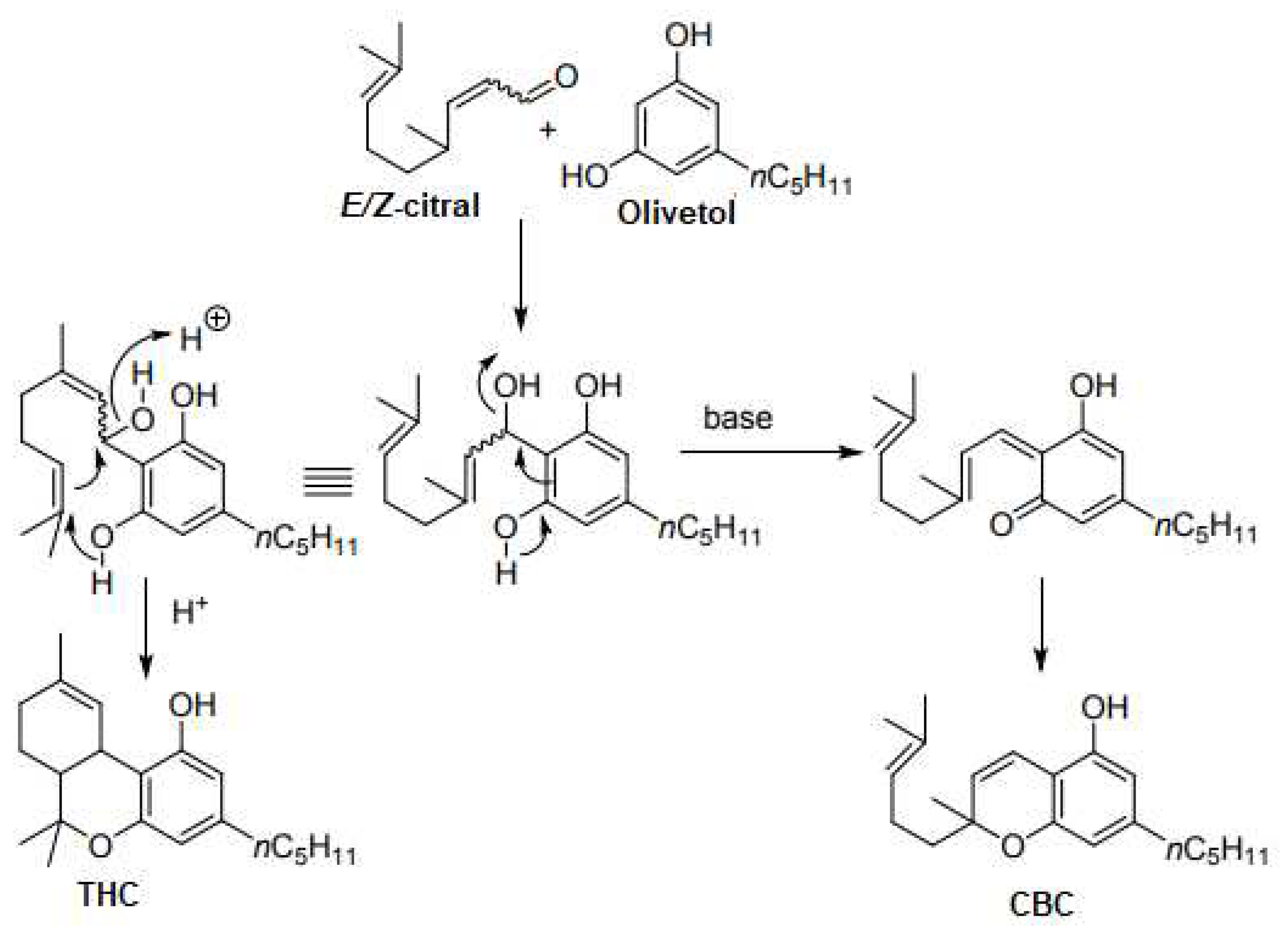 Preprints 73680 sch004