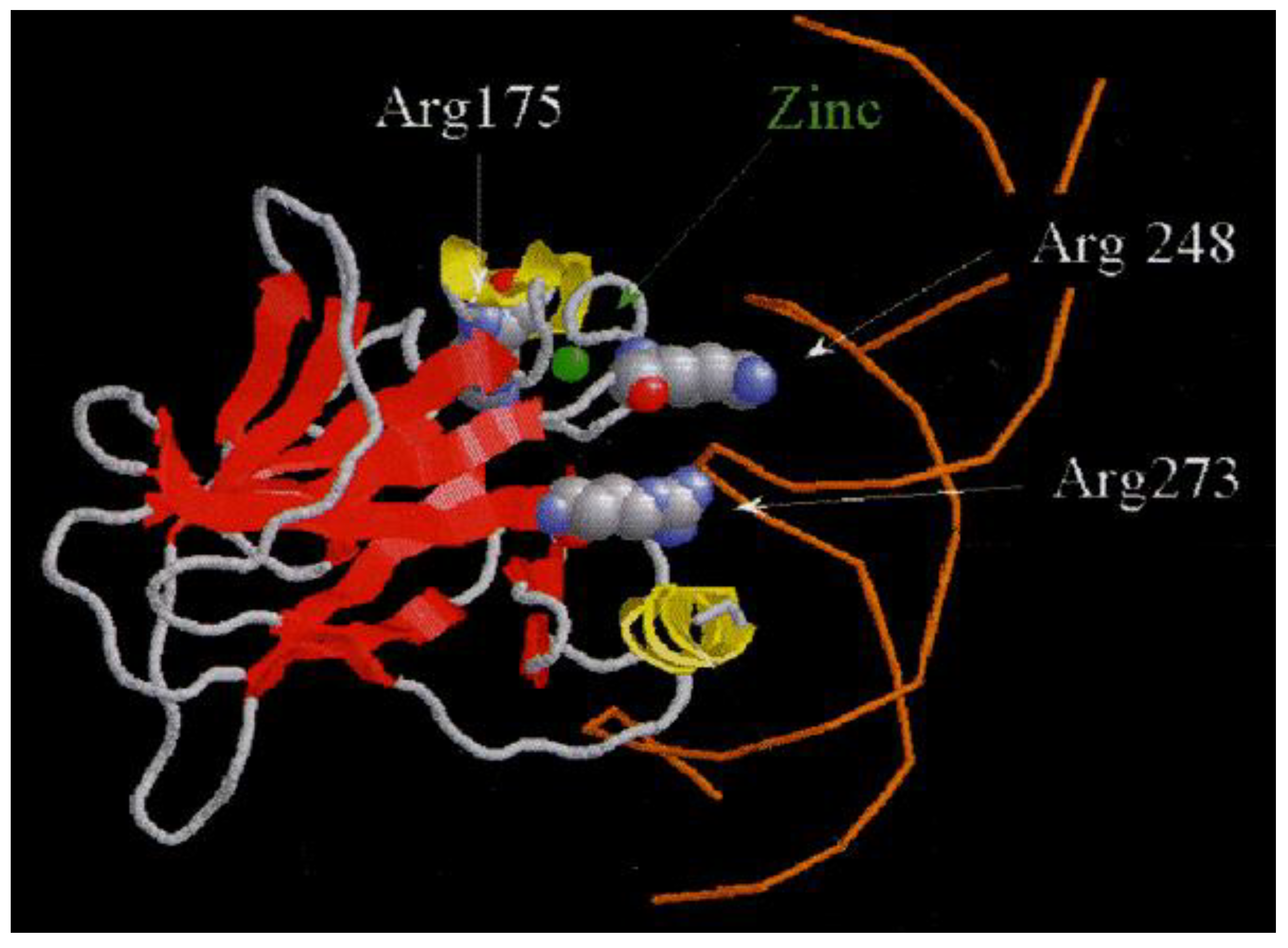 Preprints 112216 g001