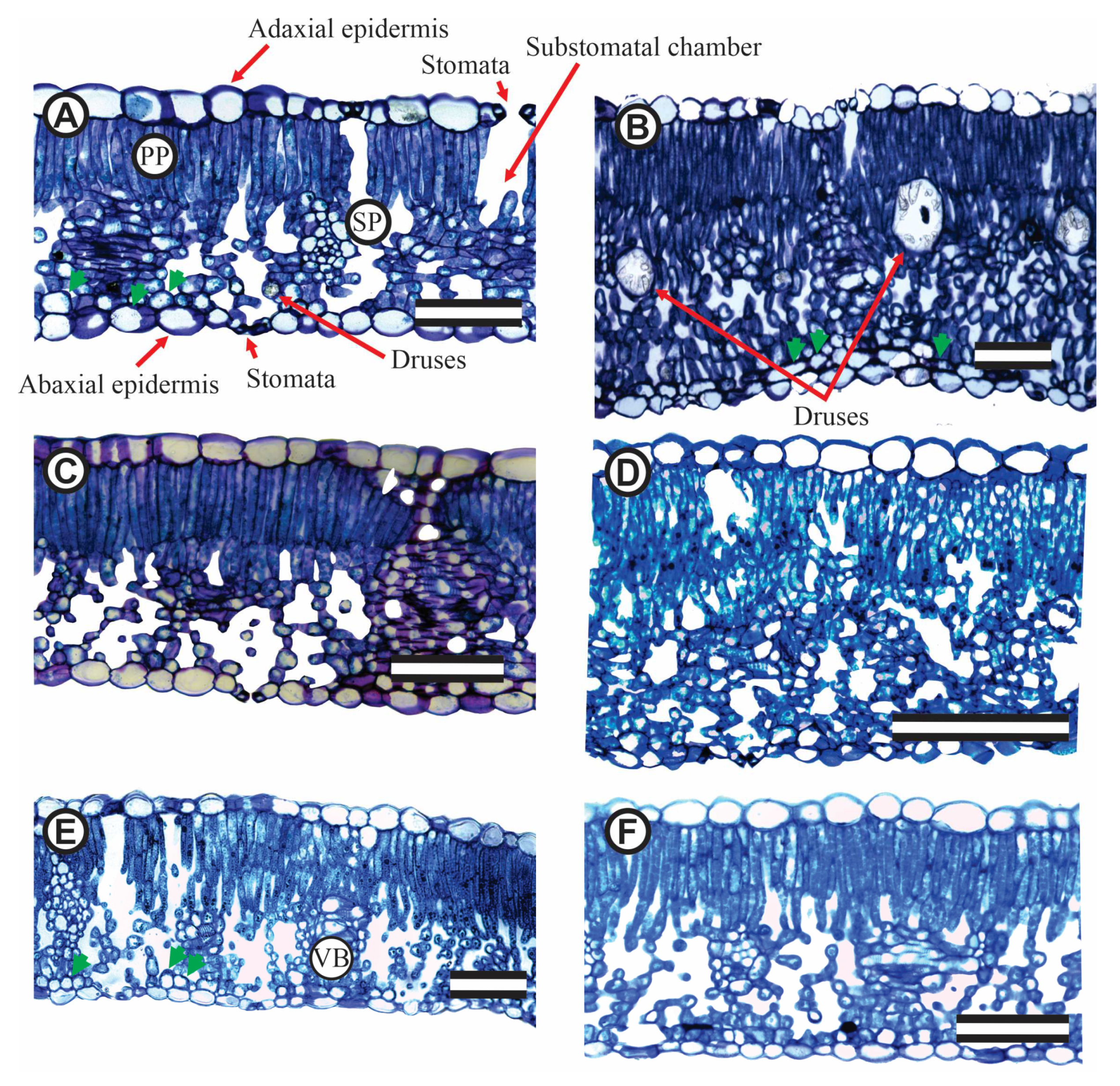 Preprints 78333 g003