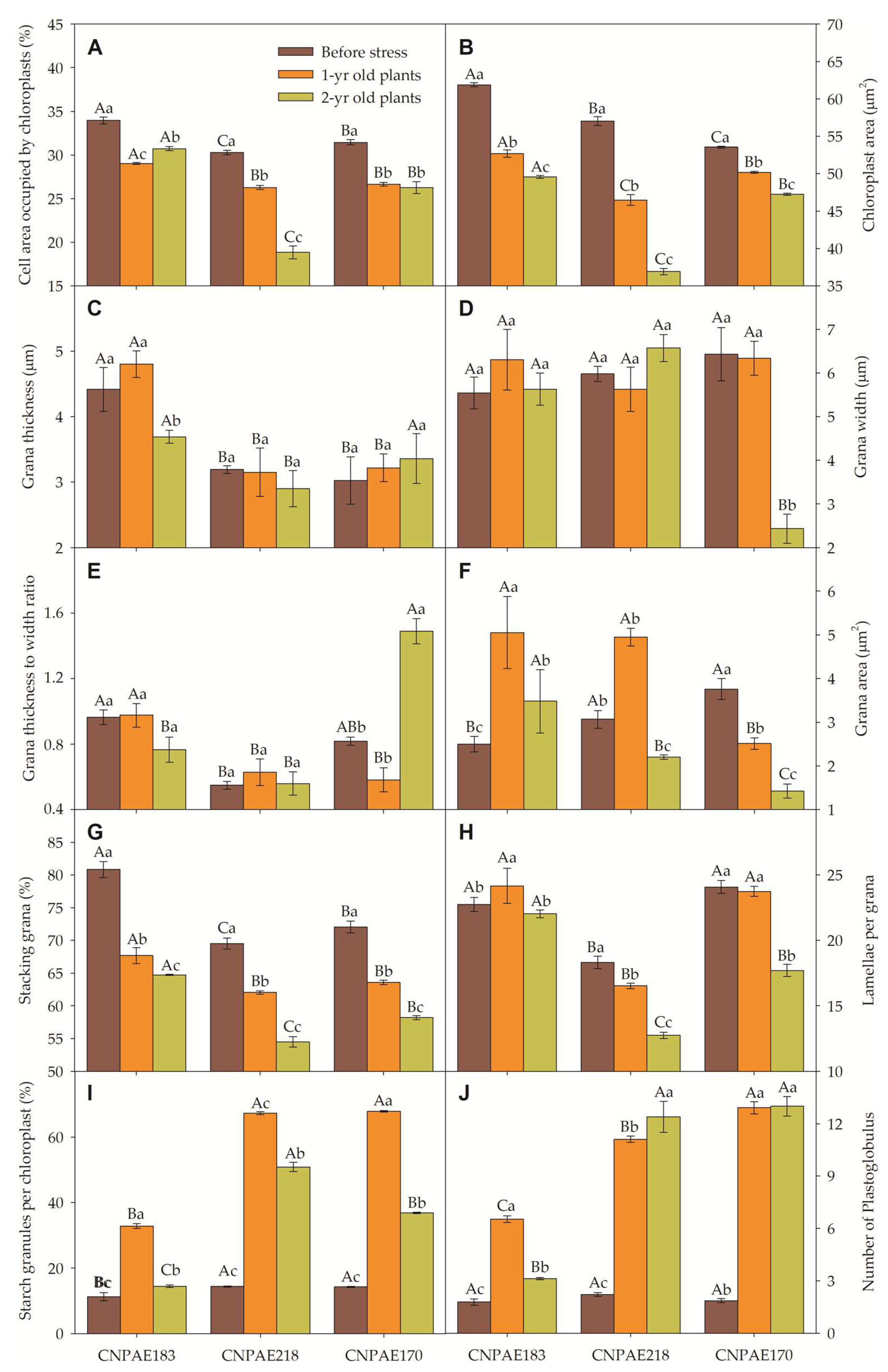 Preprints 78333 g011