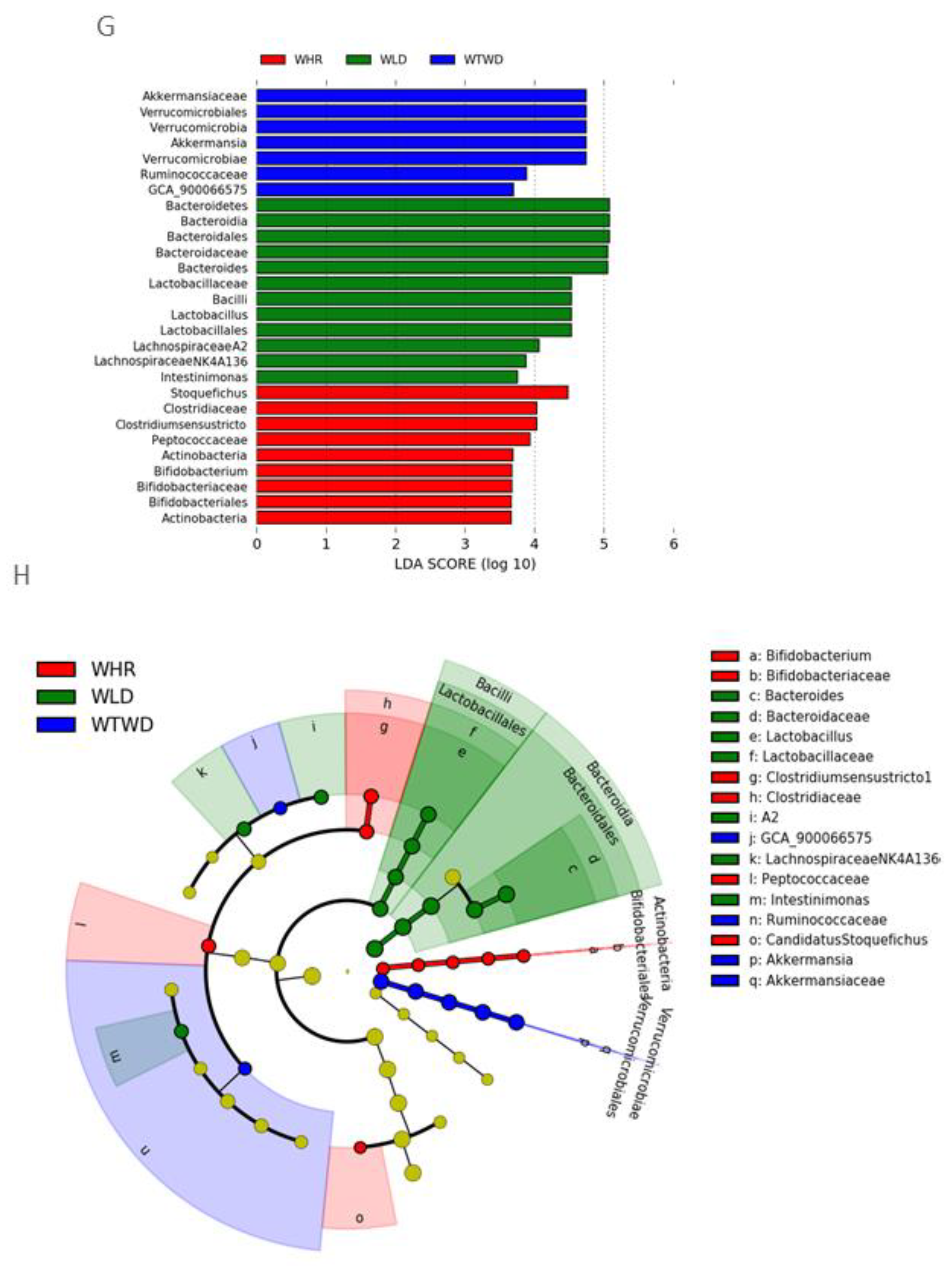 Preprints 113672 g004