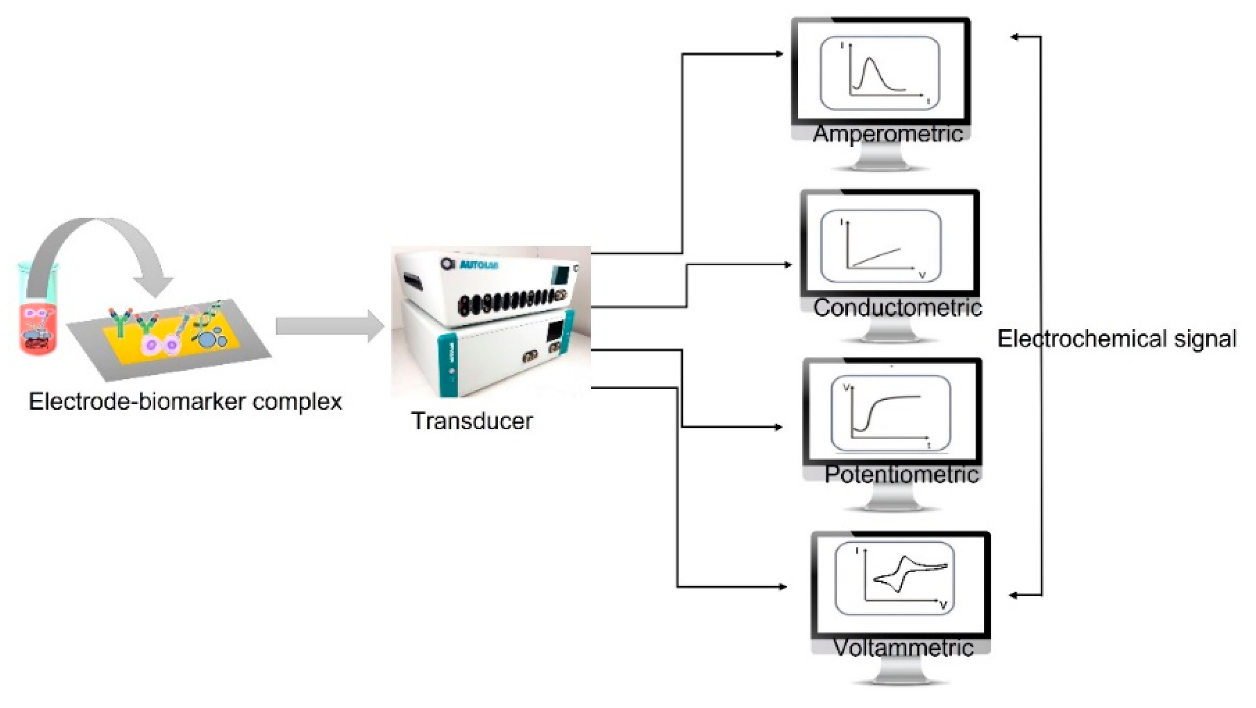 Preprints 83738 g008