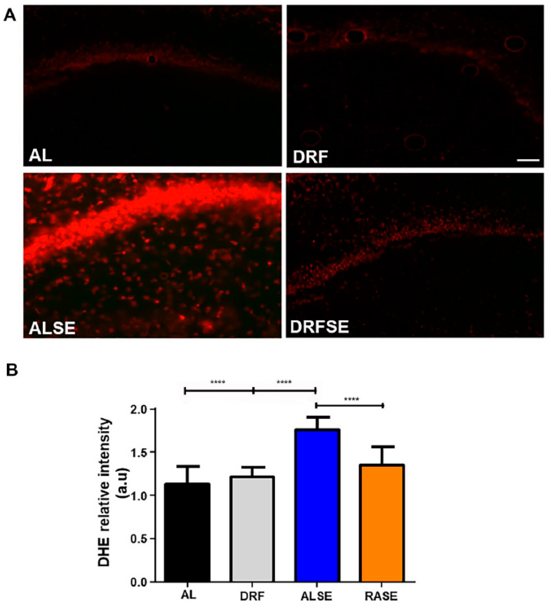 Preprints 85622 g002