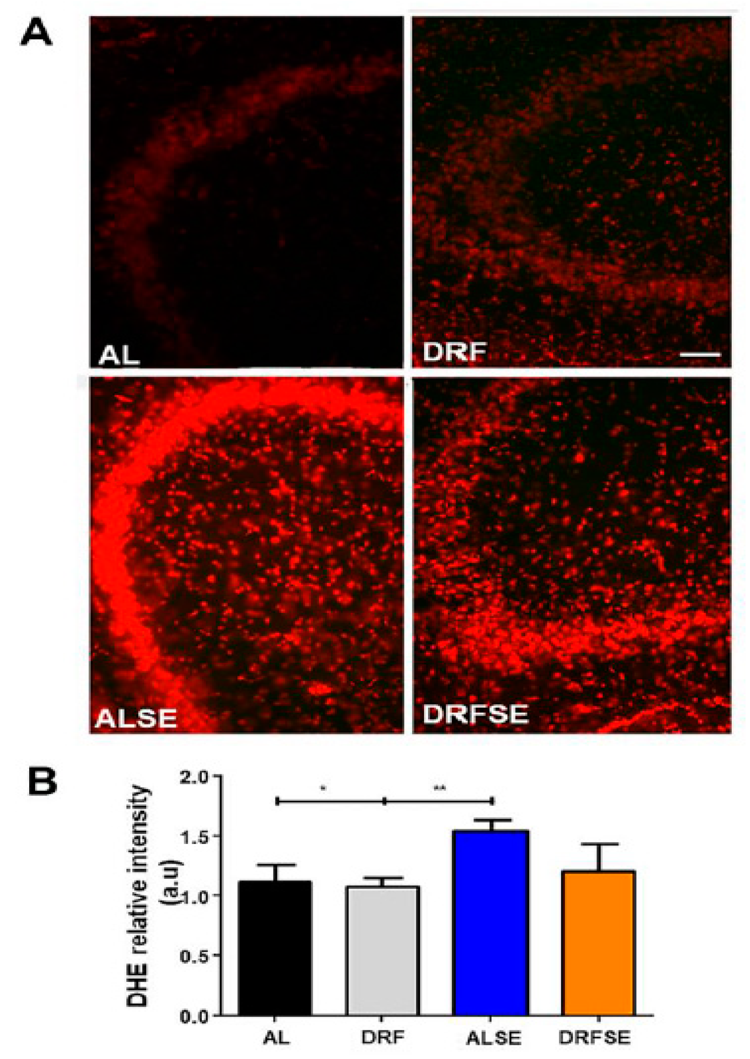 Preprints 85622 g003