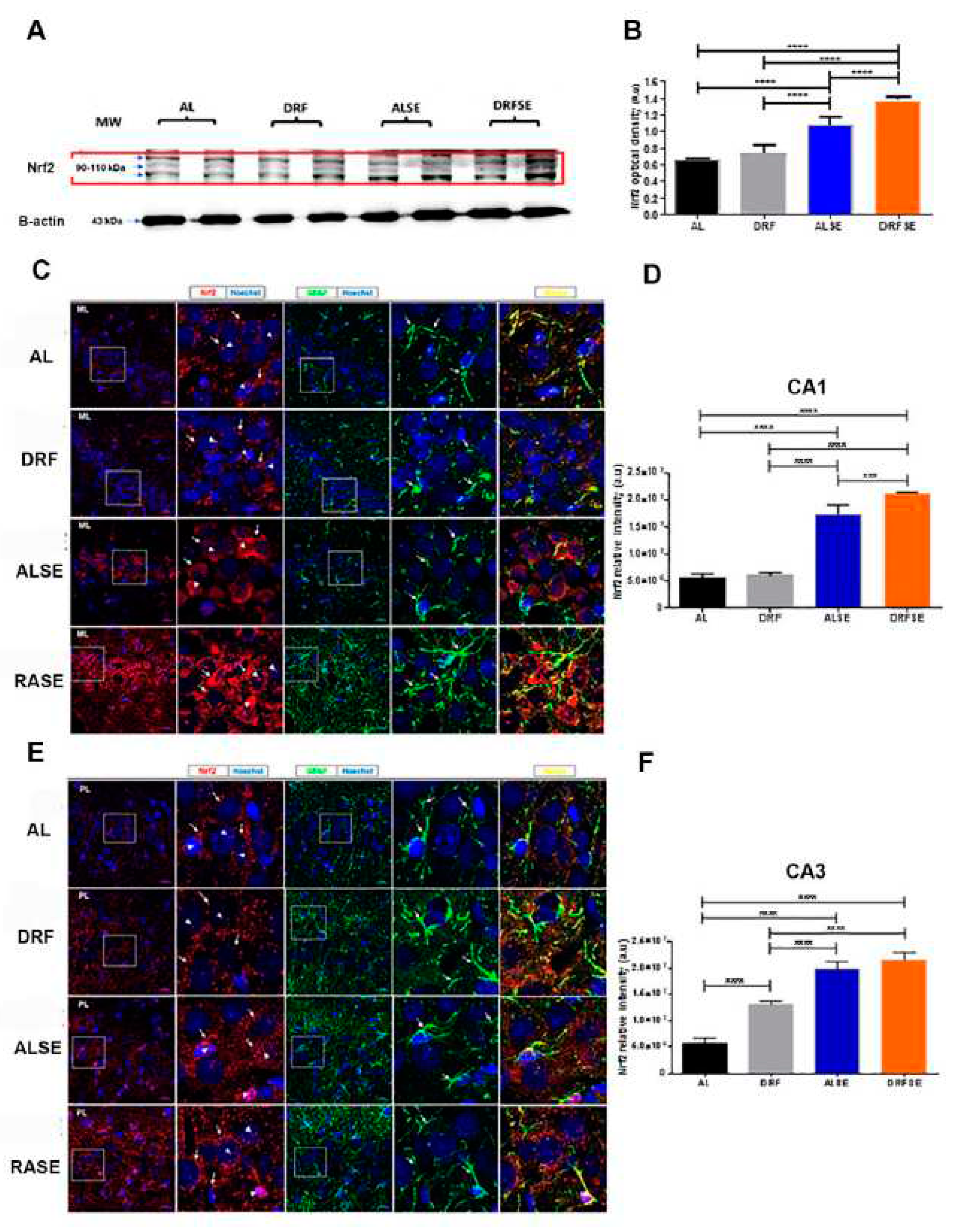 Preprints 85622 g004