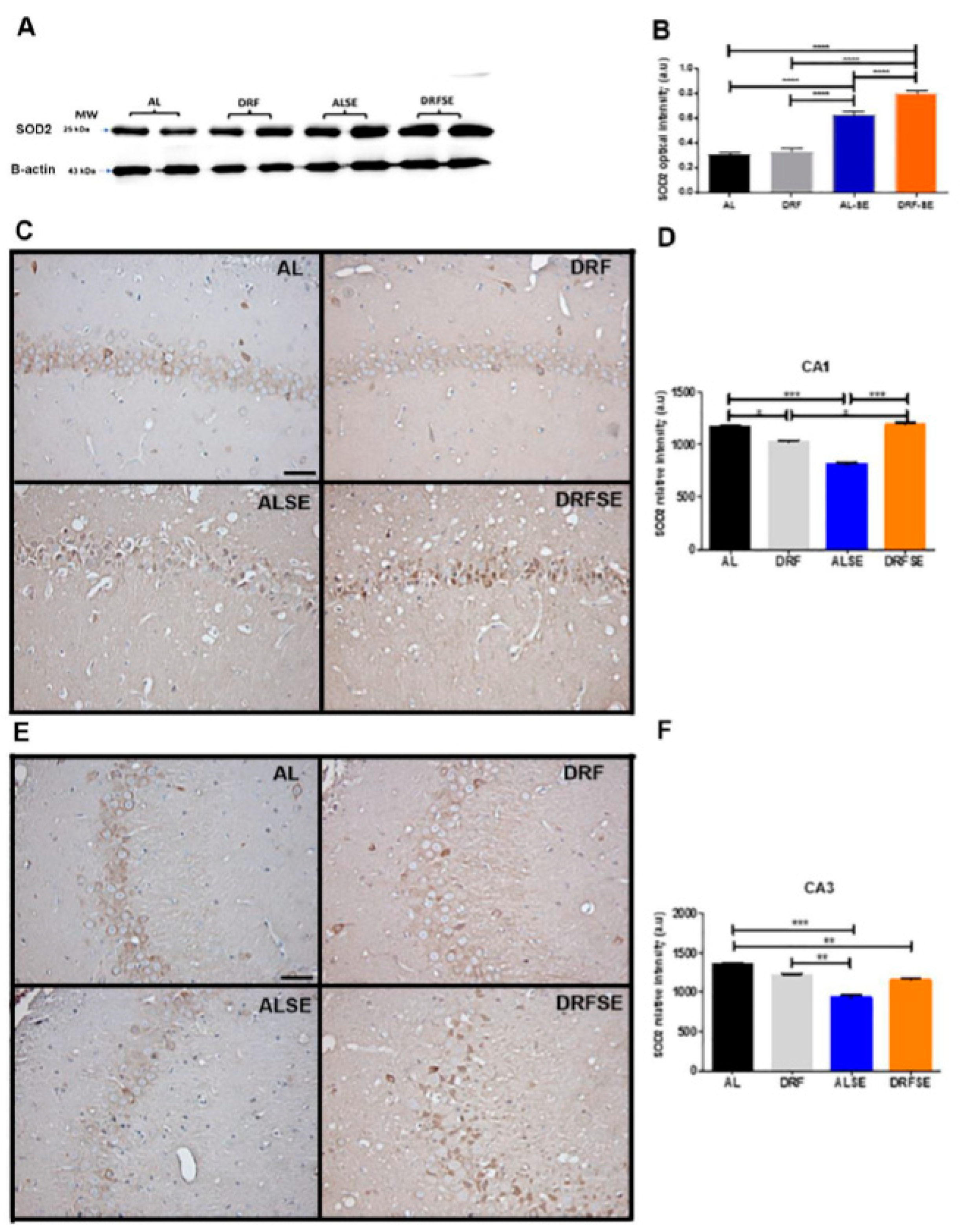 Preprints 85622 g005