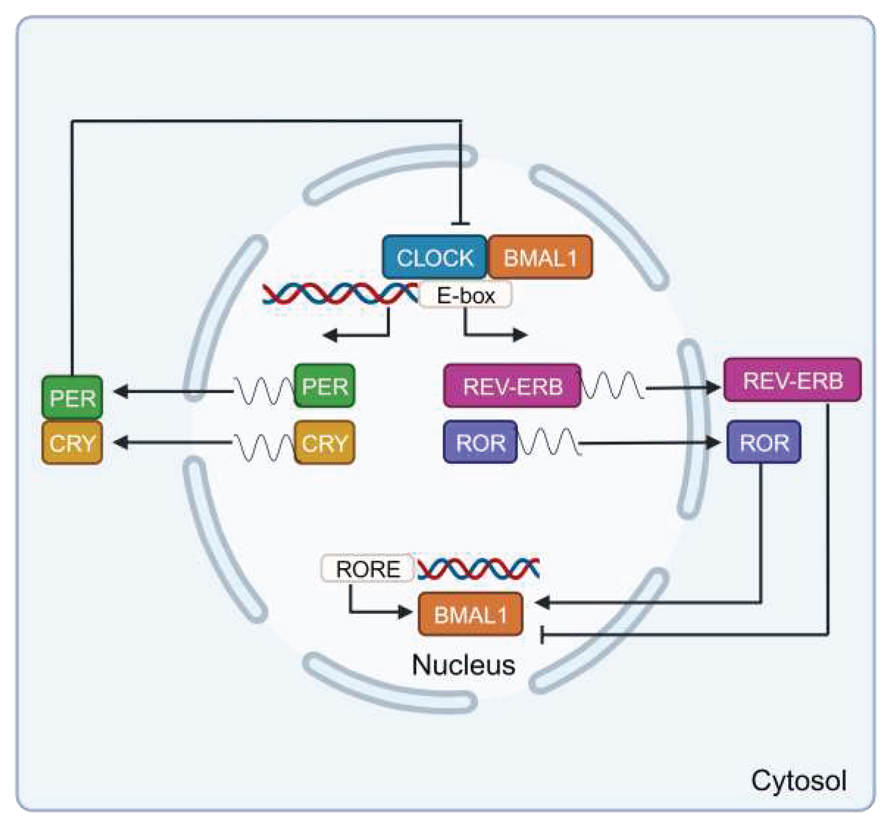 Preprints 89243 g002