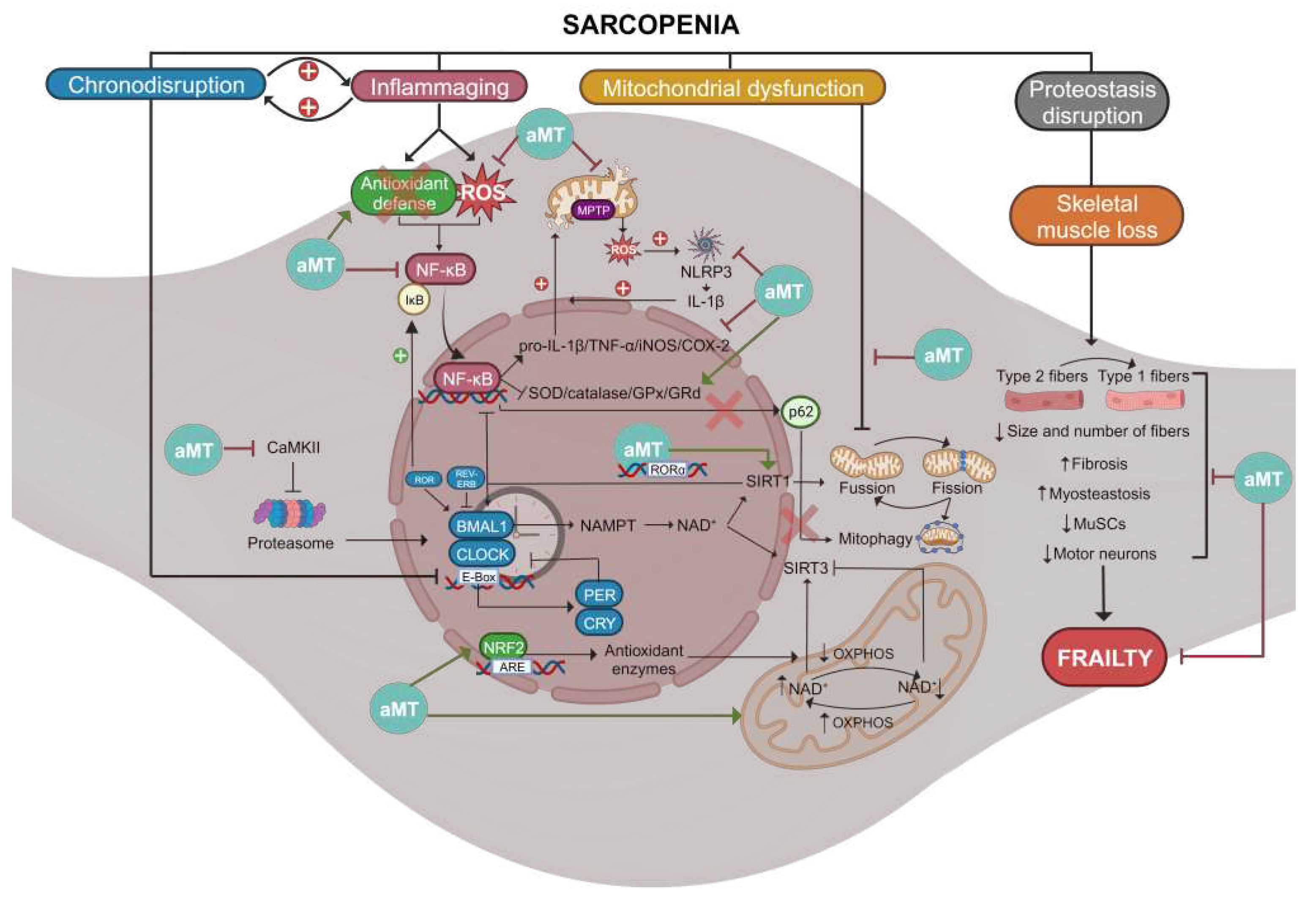 Preprints 89243 g004