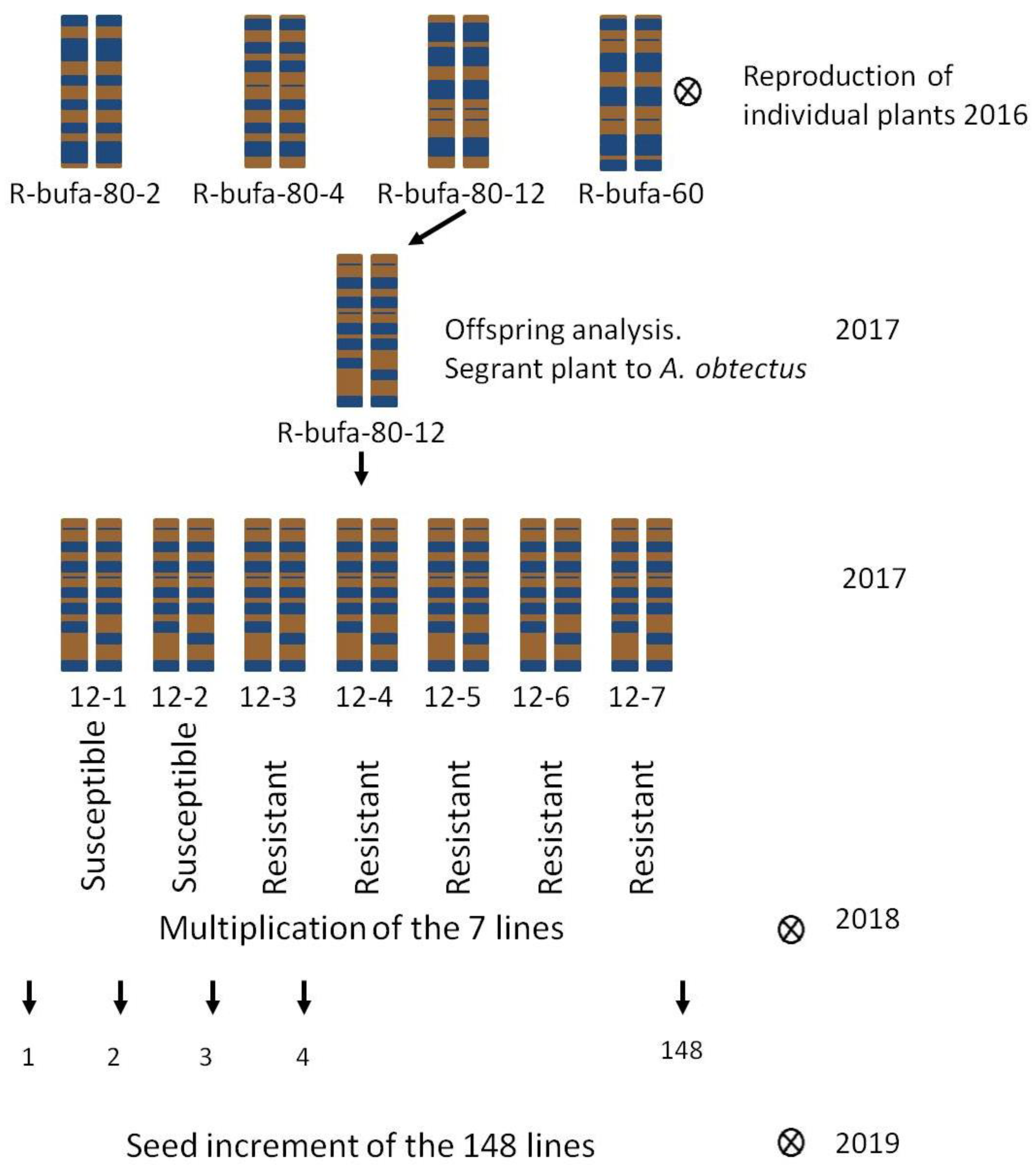 Preprints 80830 g001