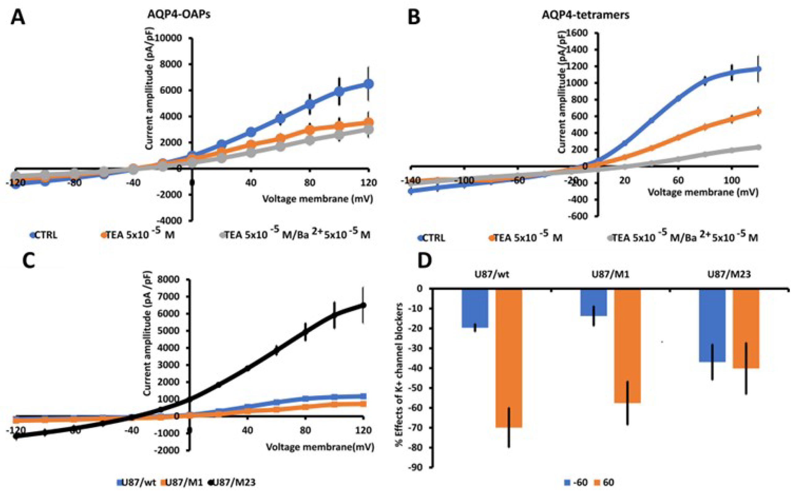 Preprints 111501 g004