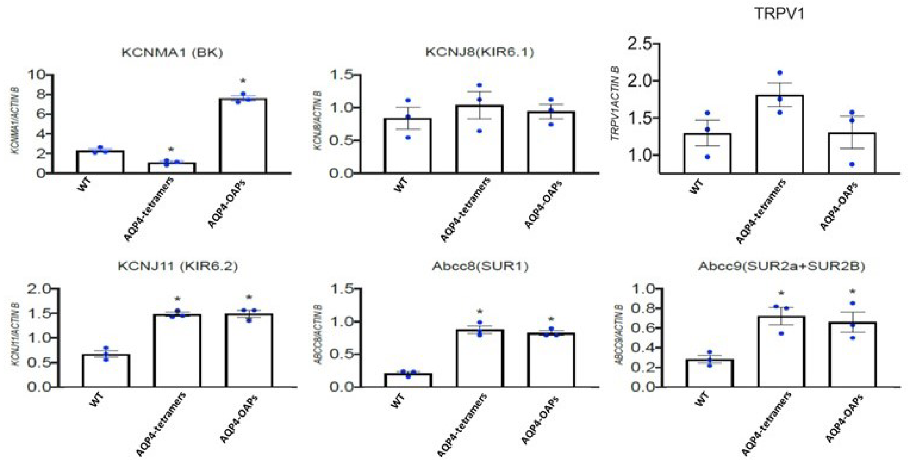 Preprints 111501 g005