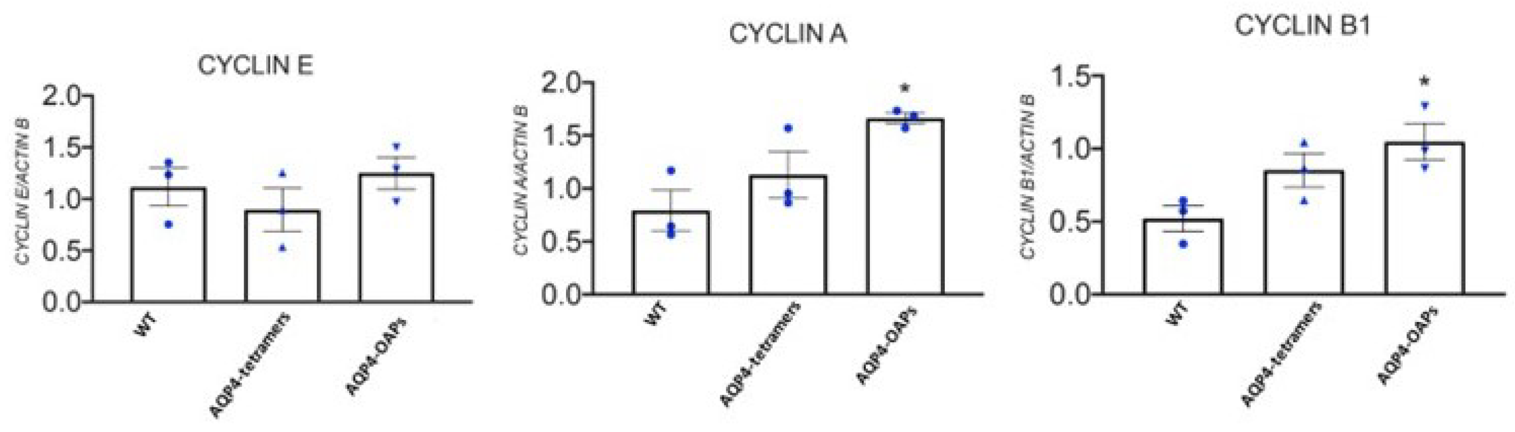 Preprints 111501 g007