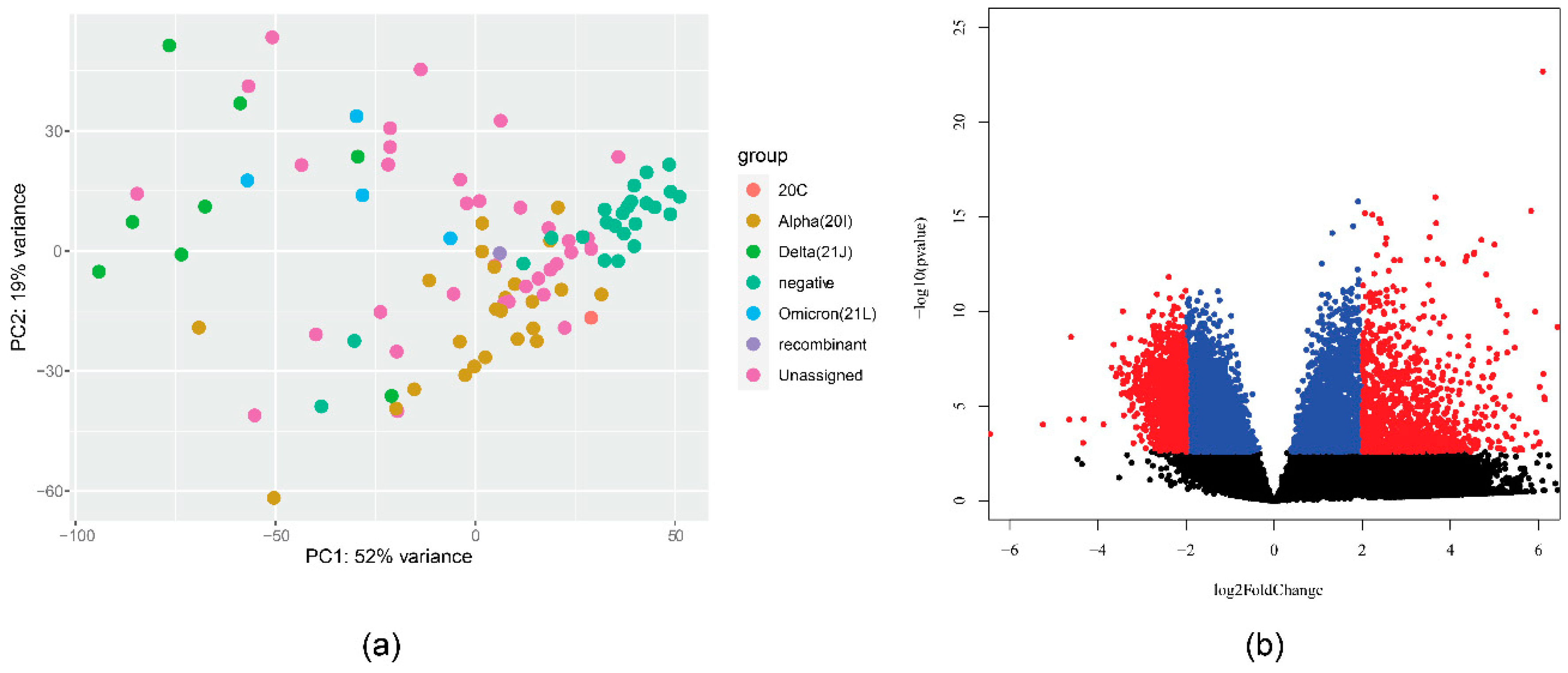 Preprints 75405 g001