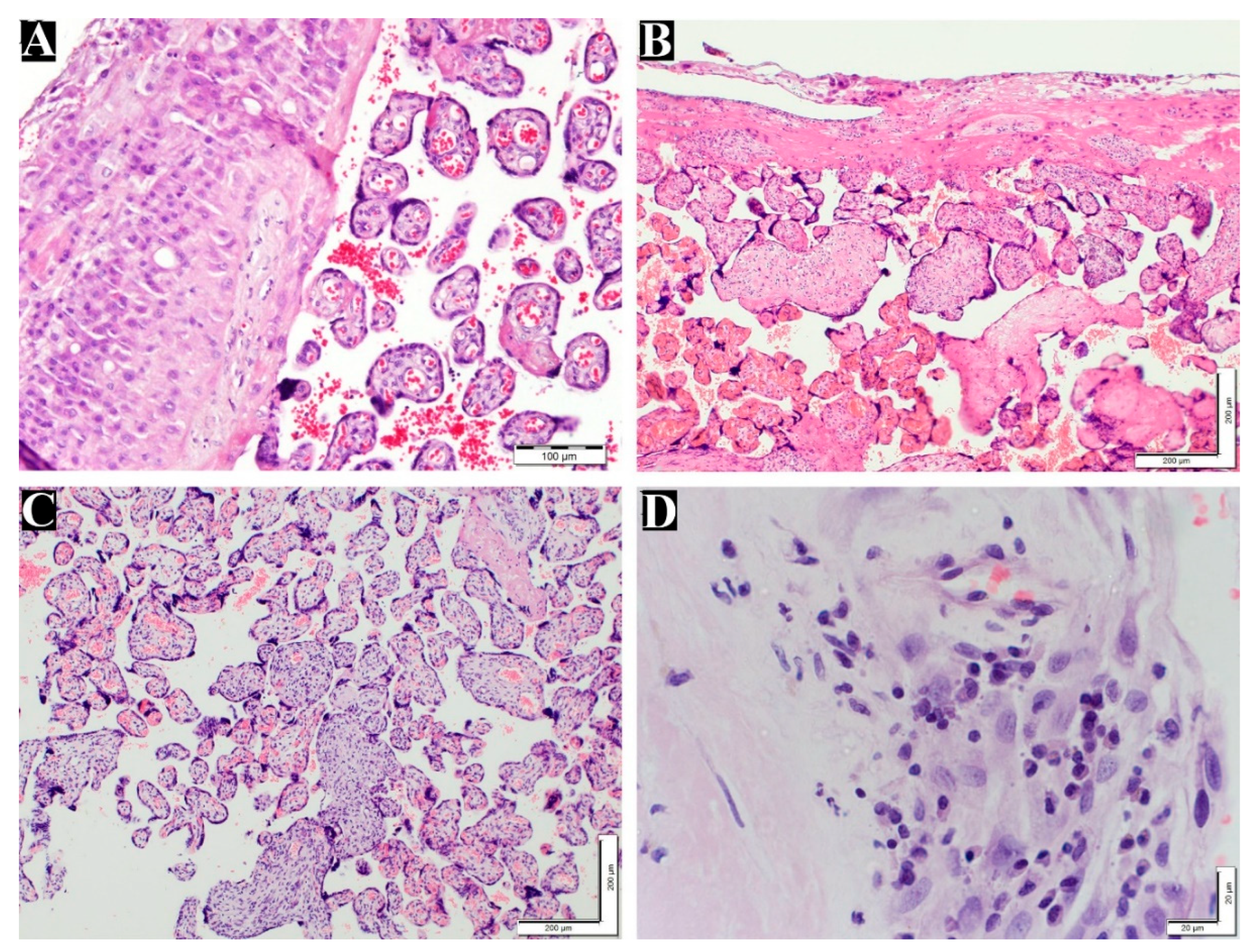 Preprints 90100 g003