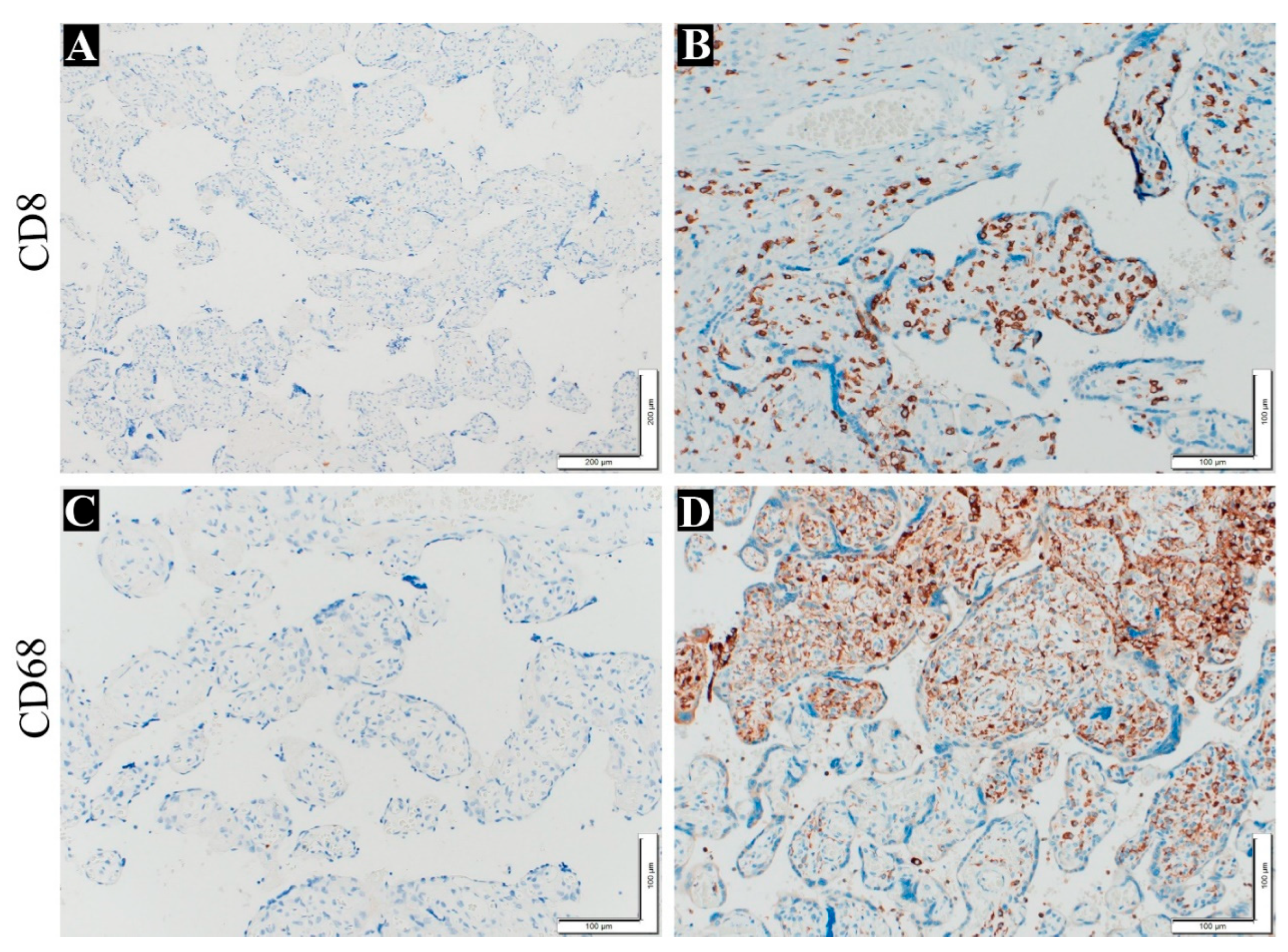 Preprints 90100 g004