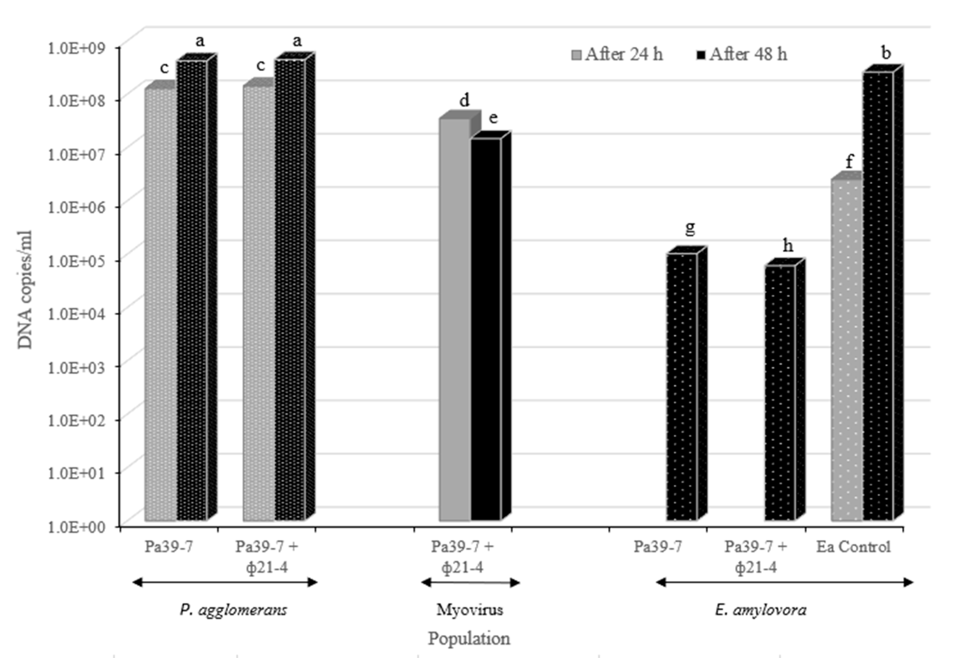 Preprints 94570 g006