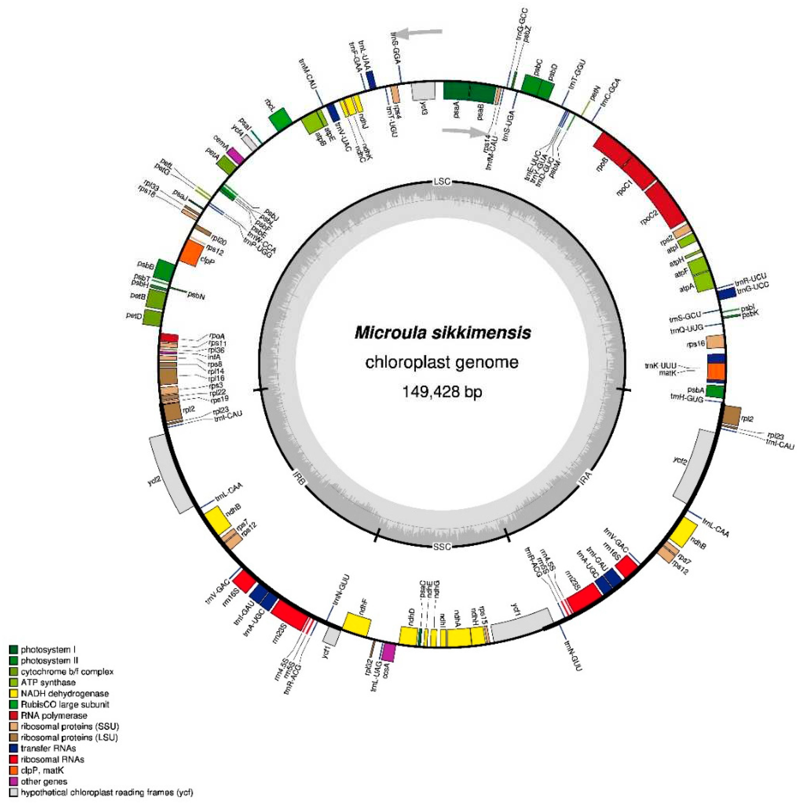 Preprints 94790 g001