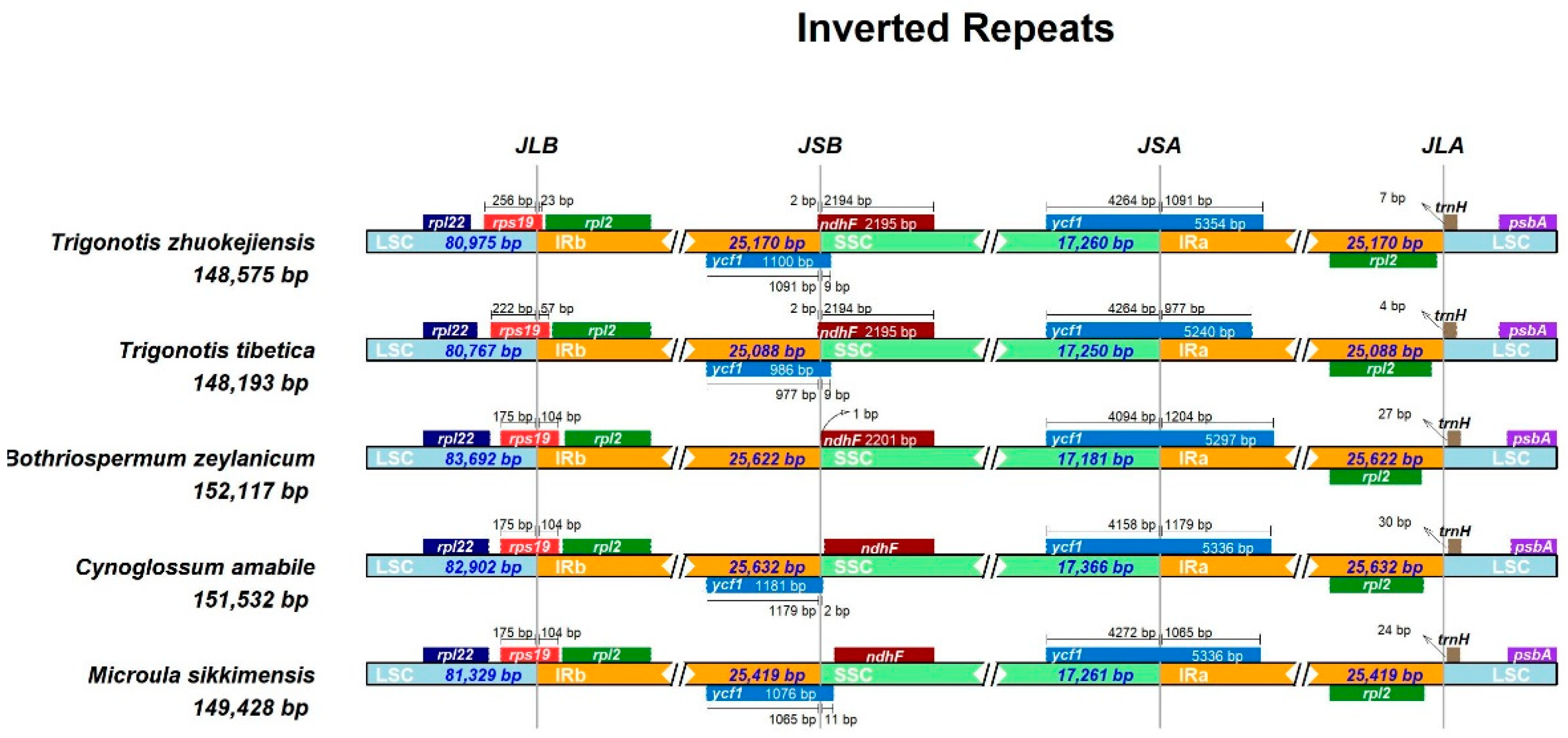 Preprints 94790 g006