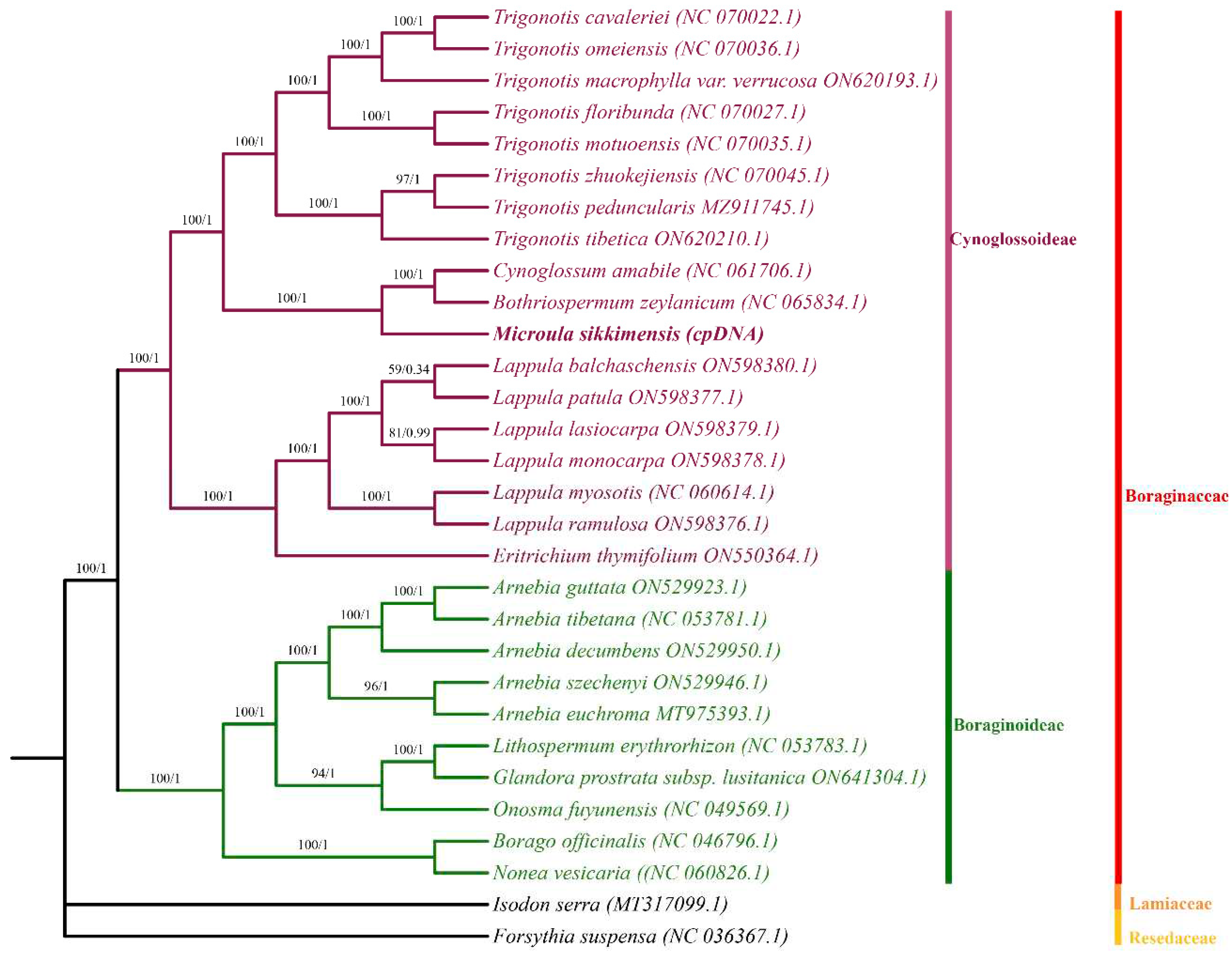 Preprints 94790 g007