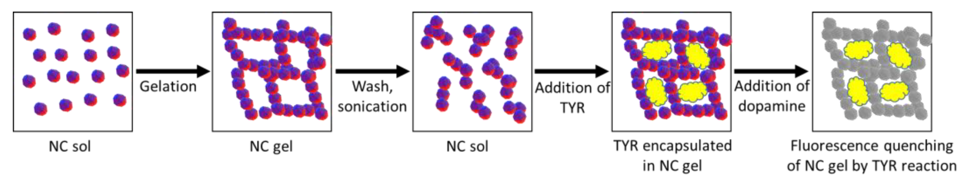 Preprints 72595 g003