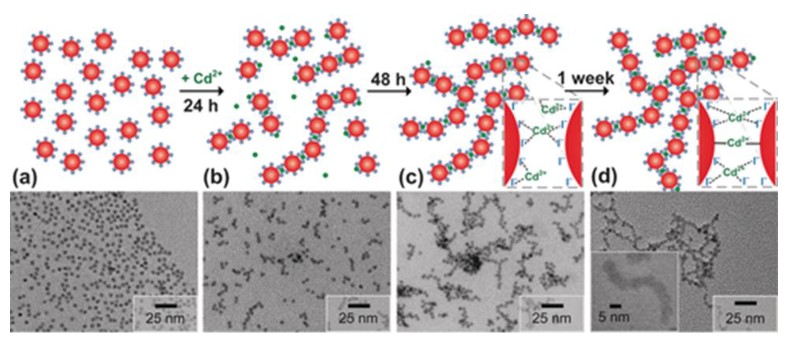 Preprints 72595 g005