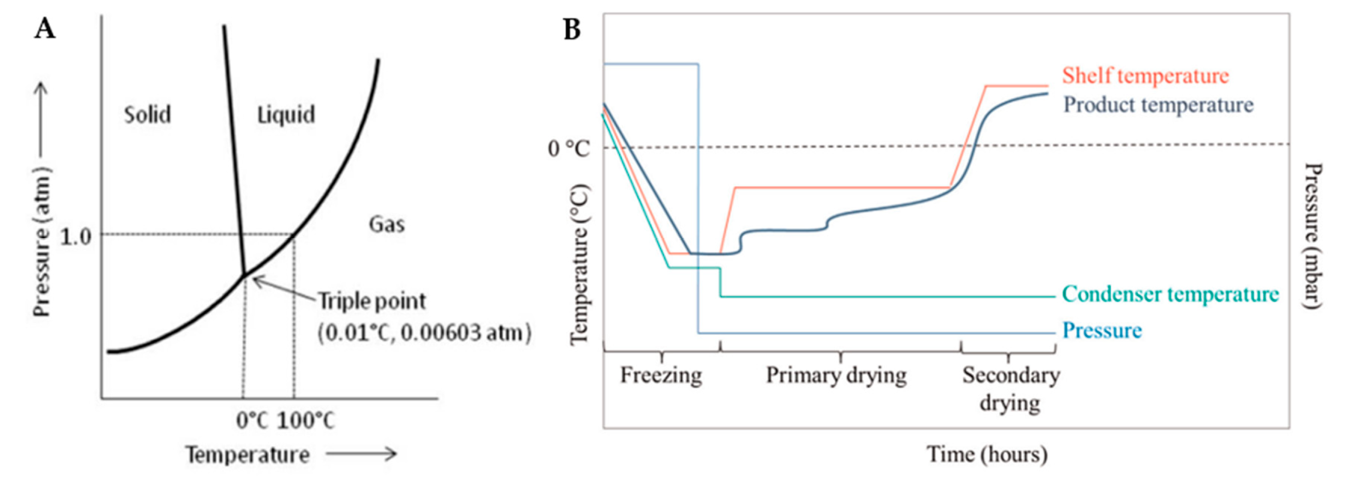 Preprints 75005 g001