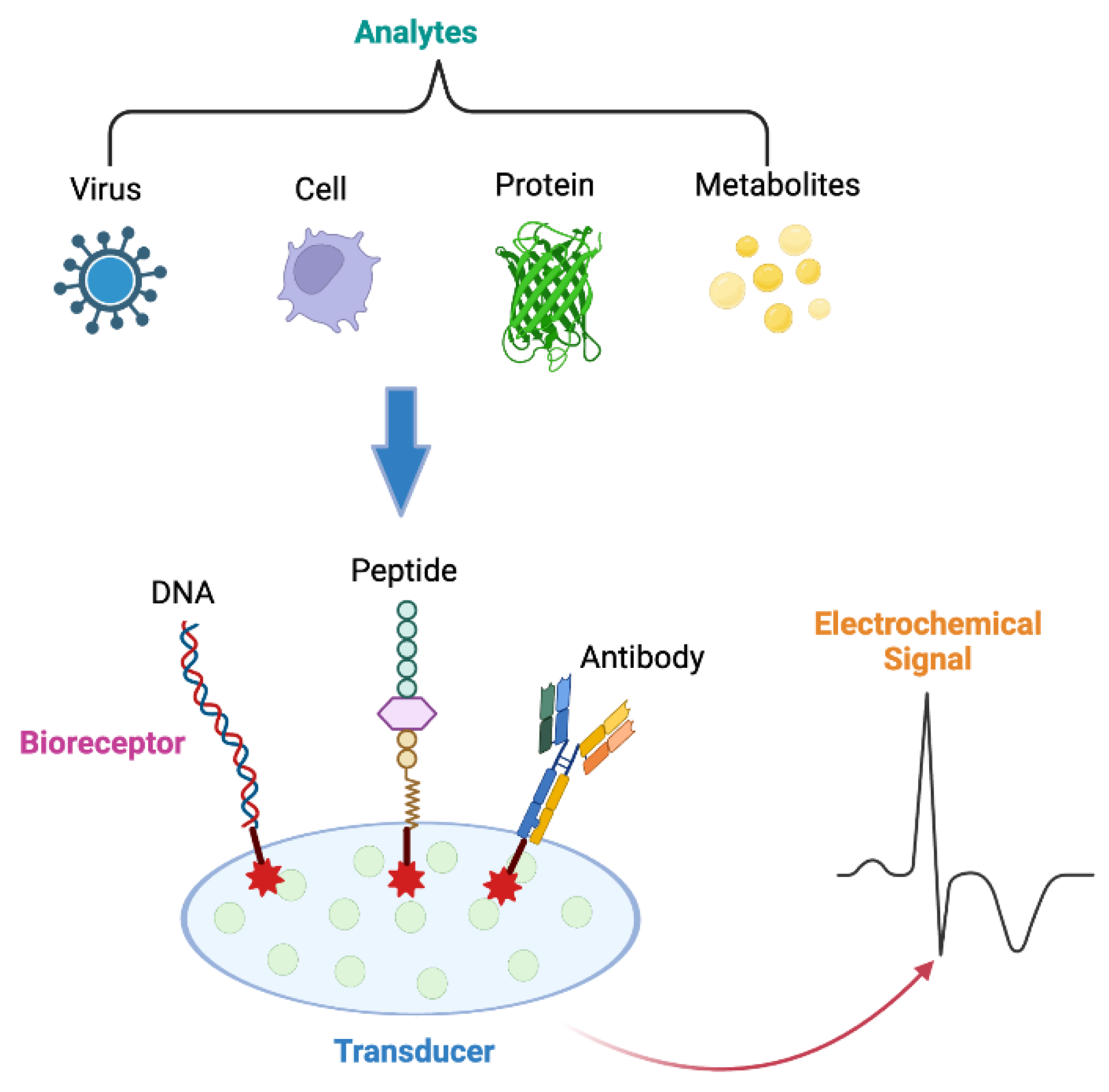 Preprints 122129 g001