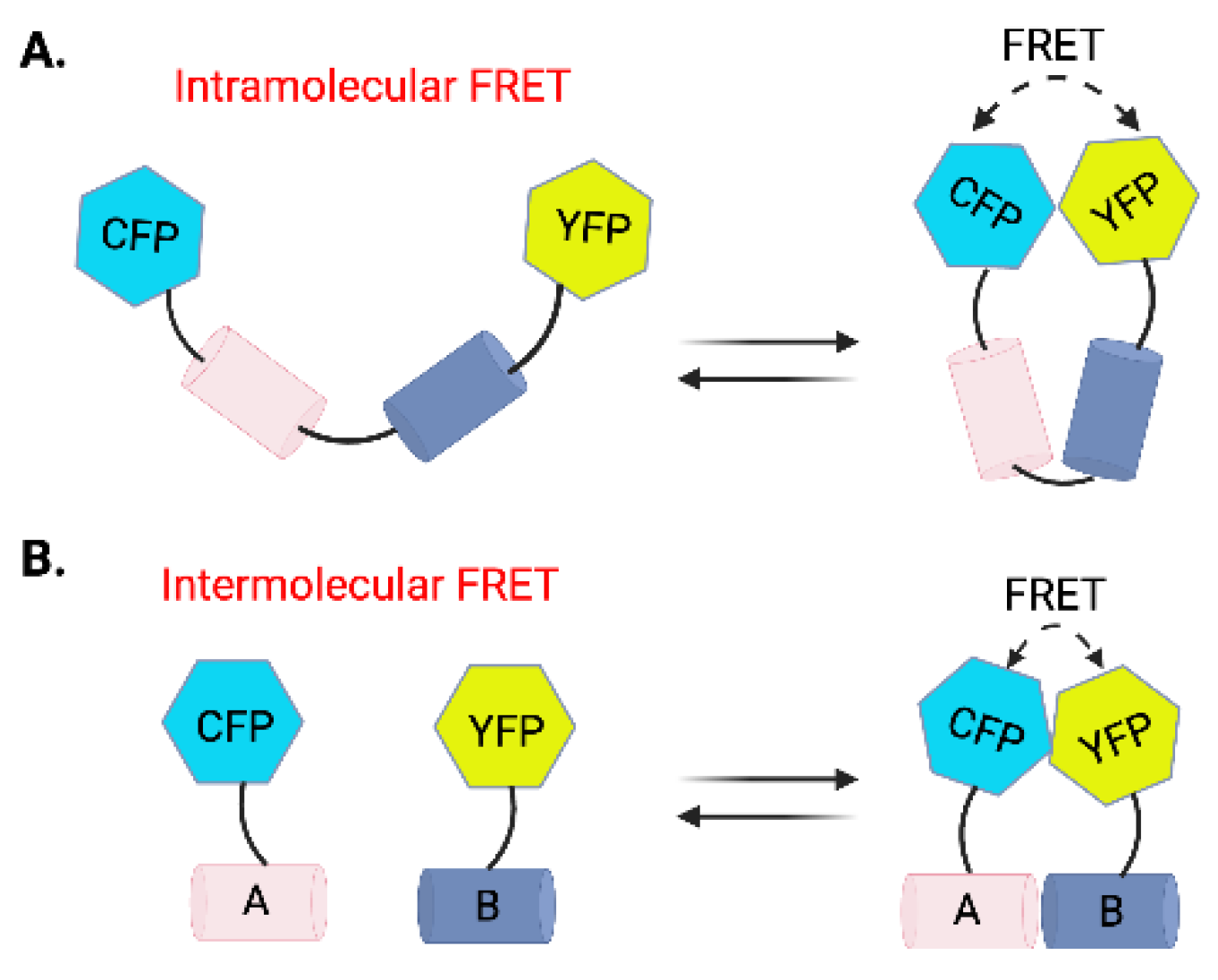 Preprints 122129 g002