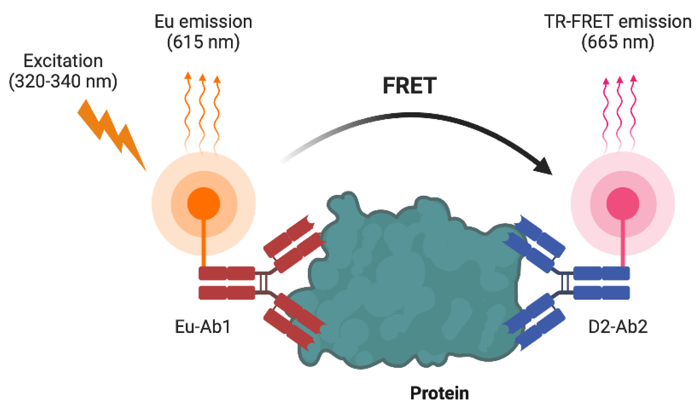 Preprints 122129 g003