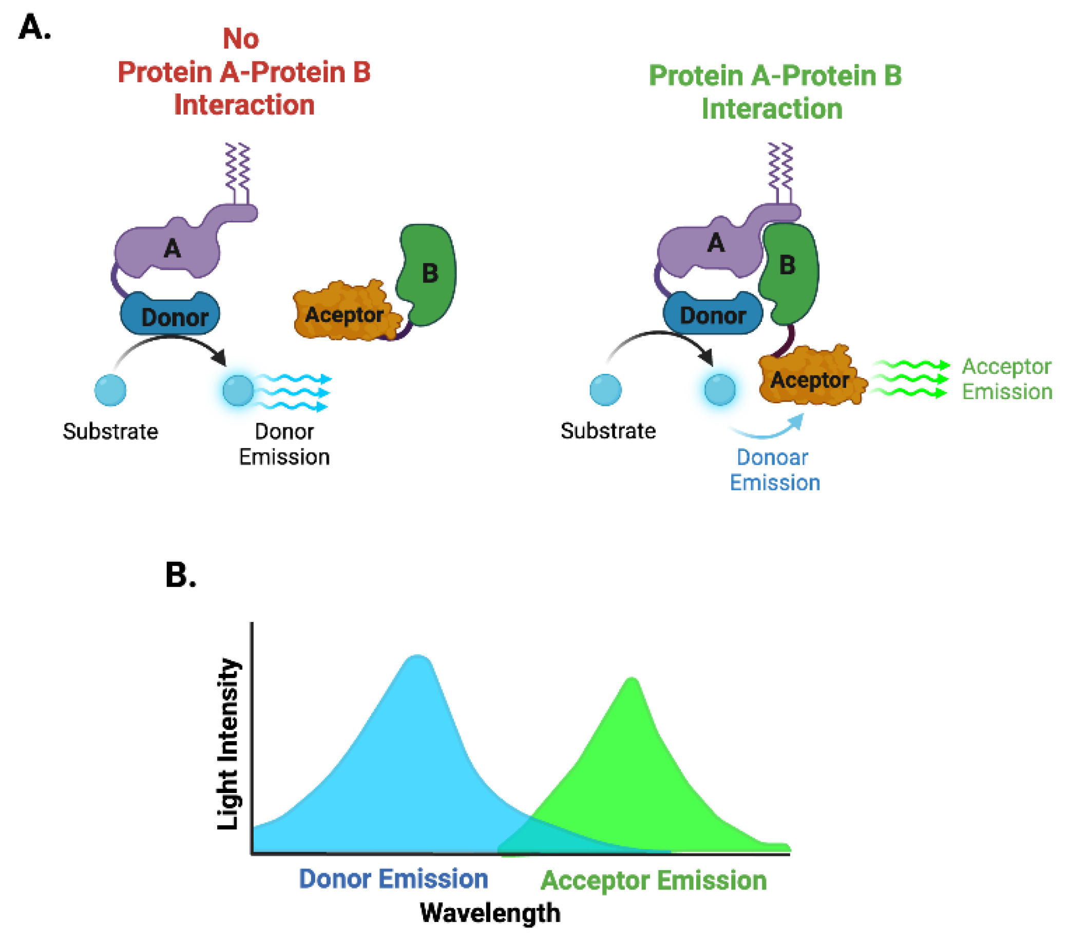 Preprints 122129 g004