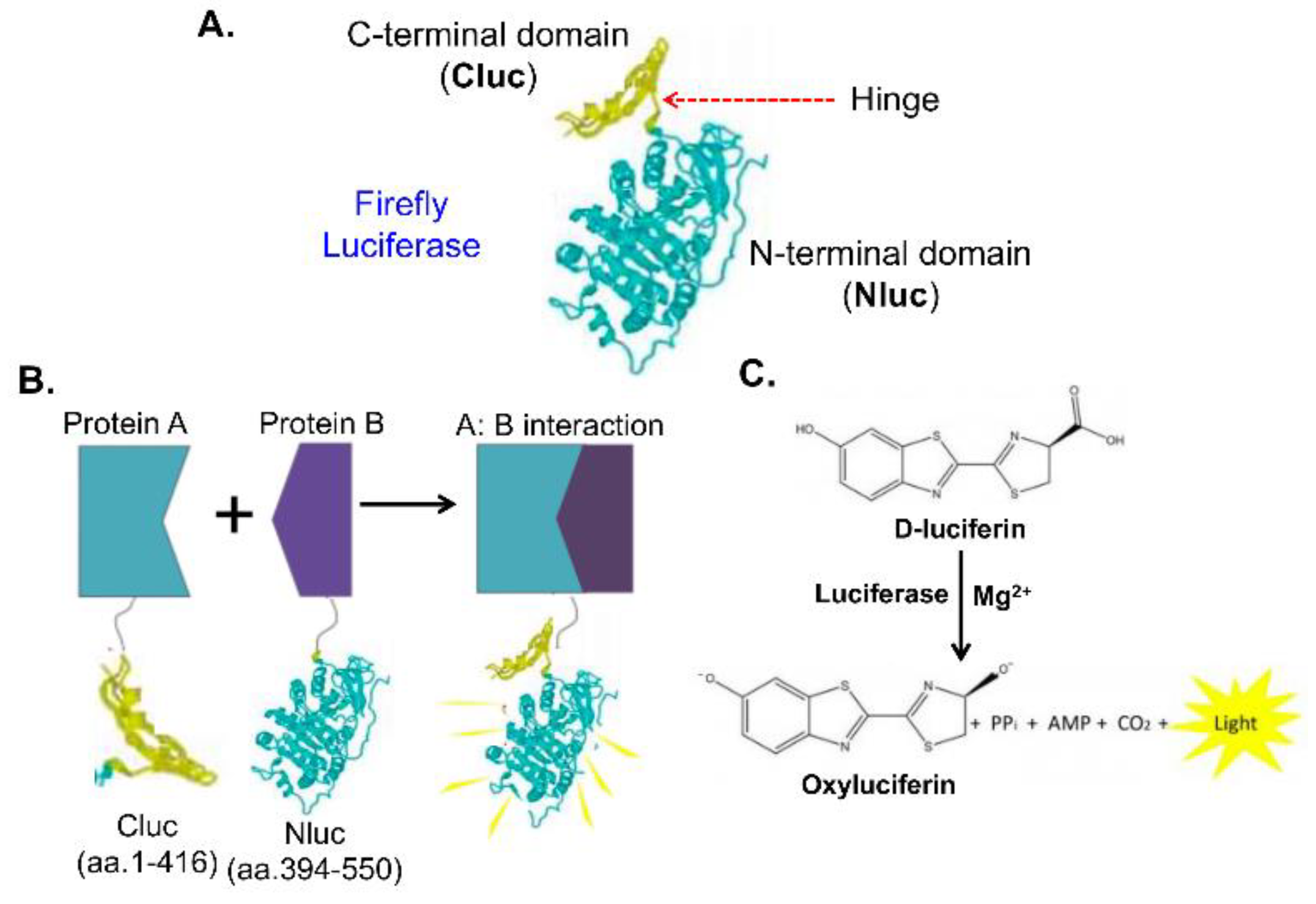 Preprints 122129 g005