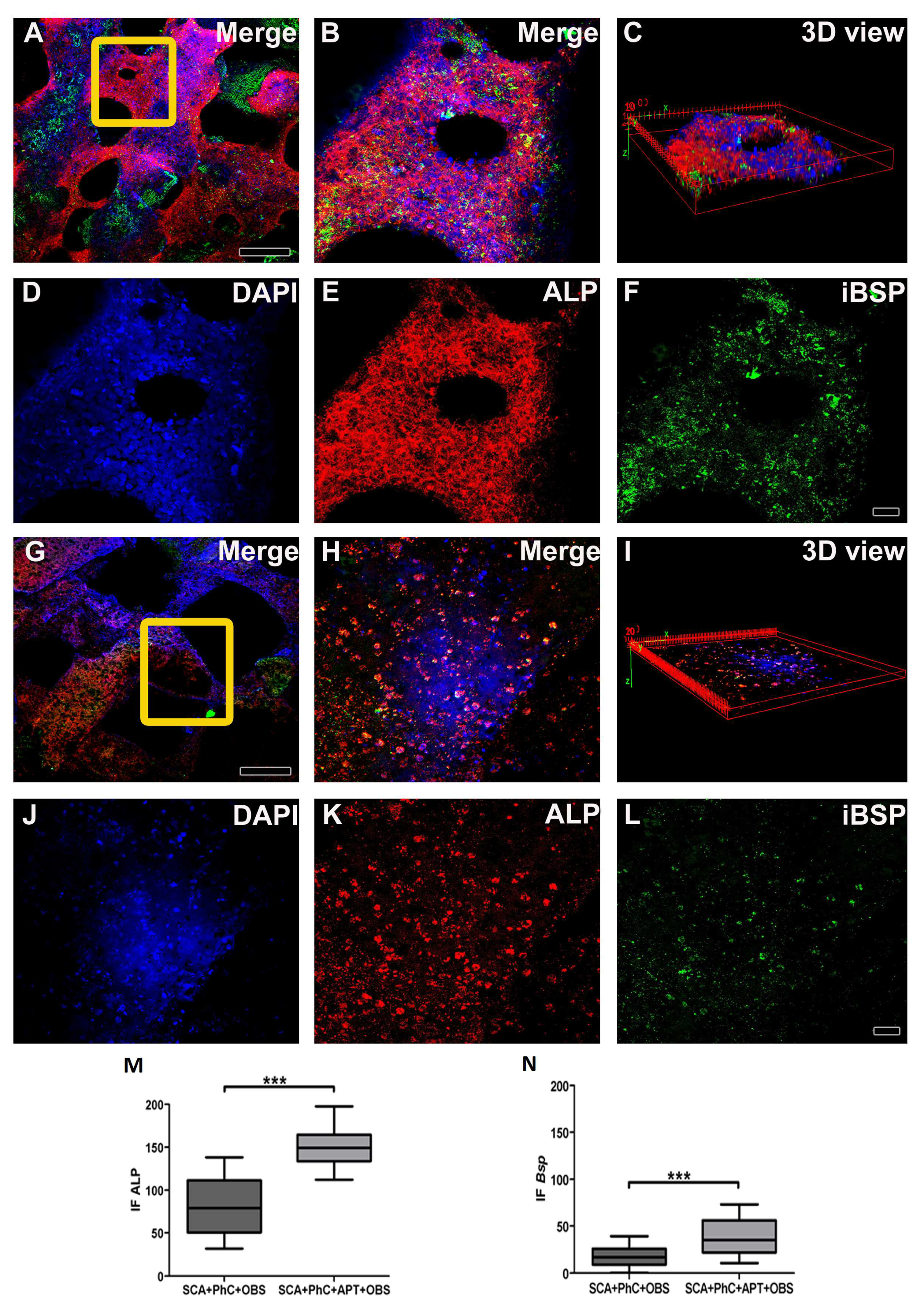 Preprints 82515 g003