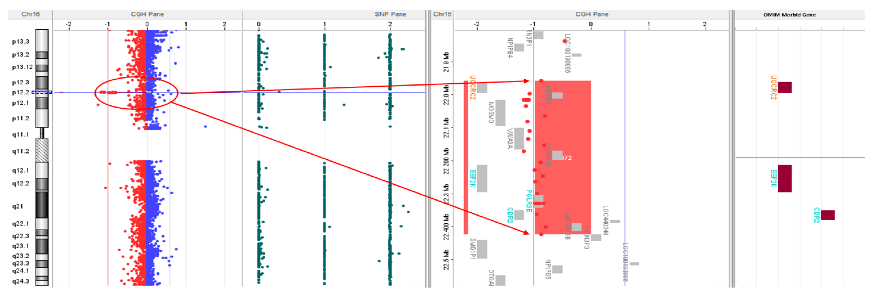 Preprints 115479 g001