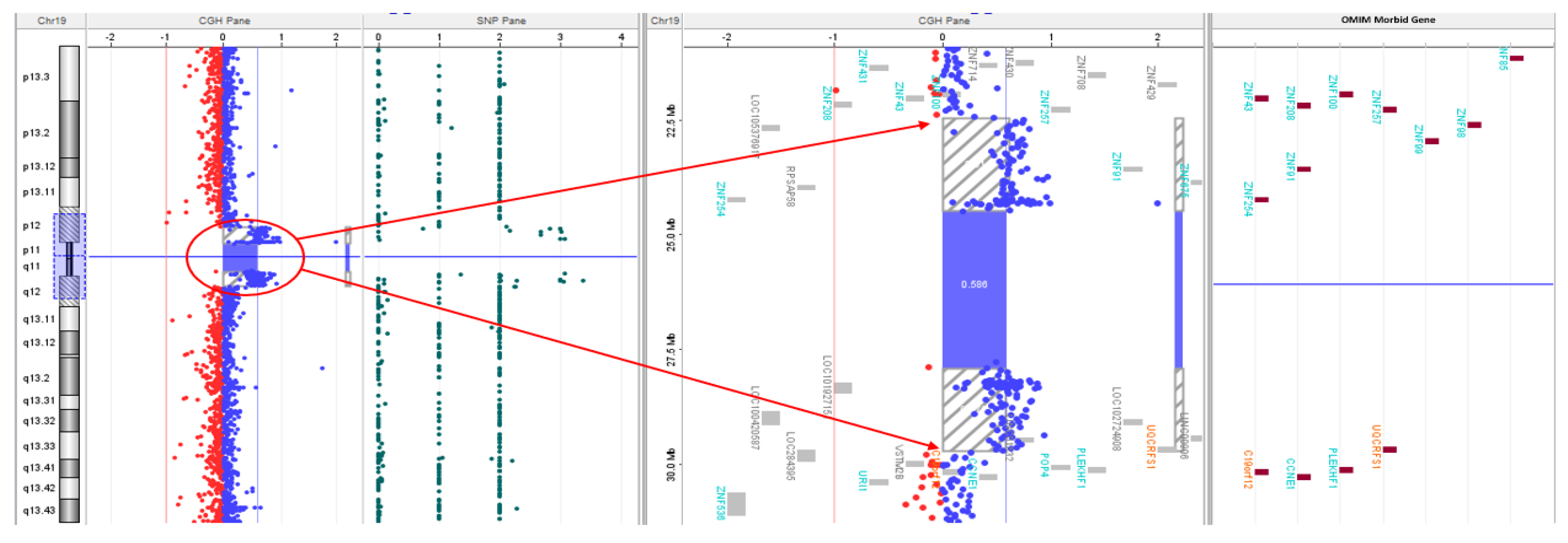 Preprints 115479 g002