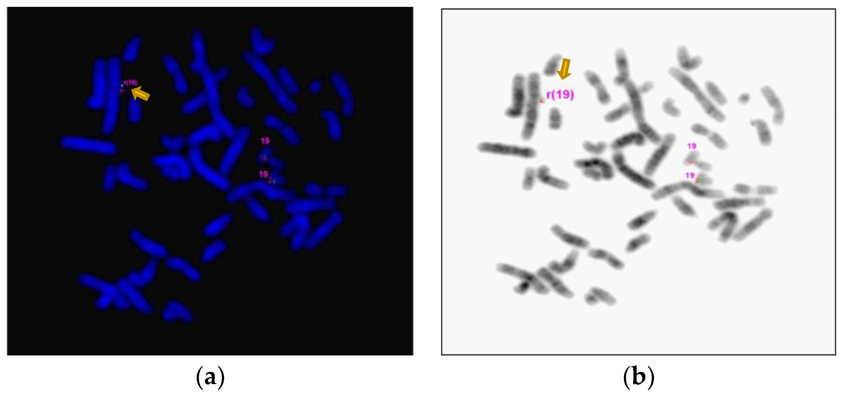 Preprints 115479 g004