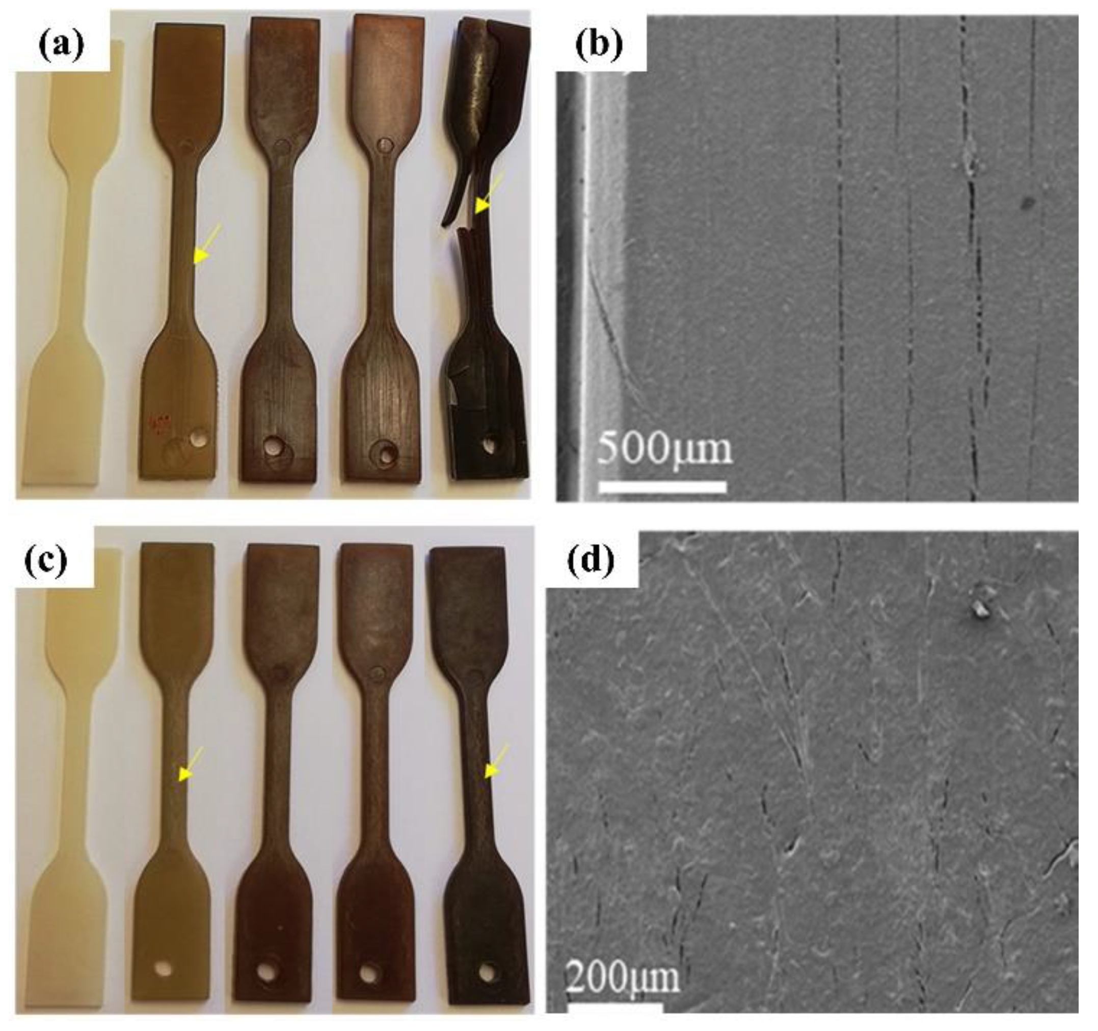 Preprints 82169 g009