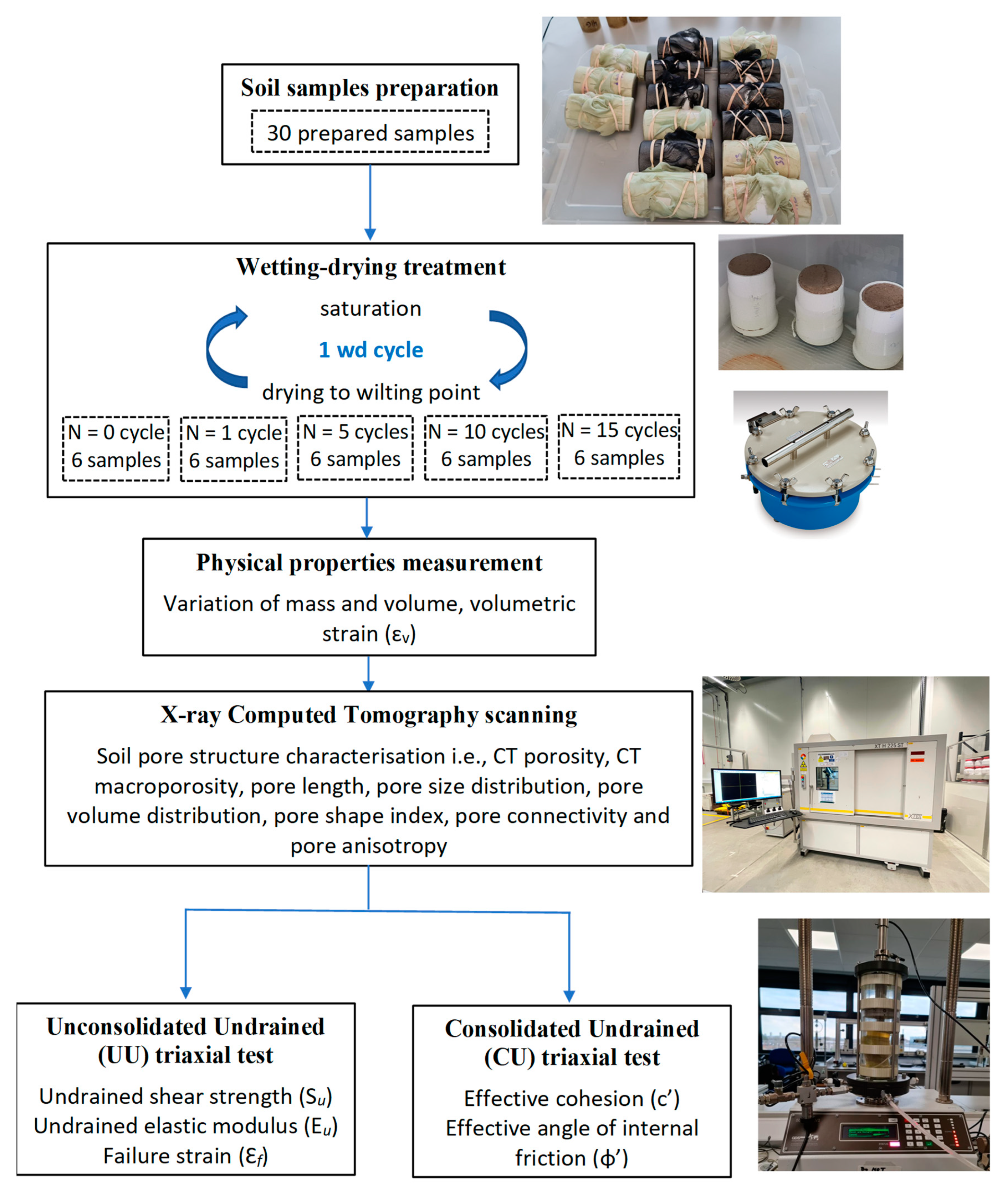 Preprints 108877 g003