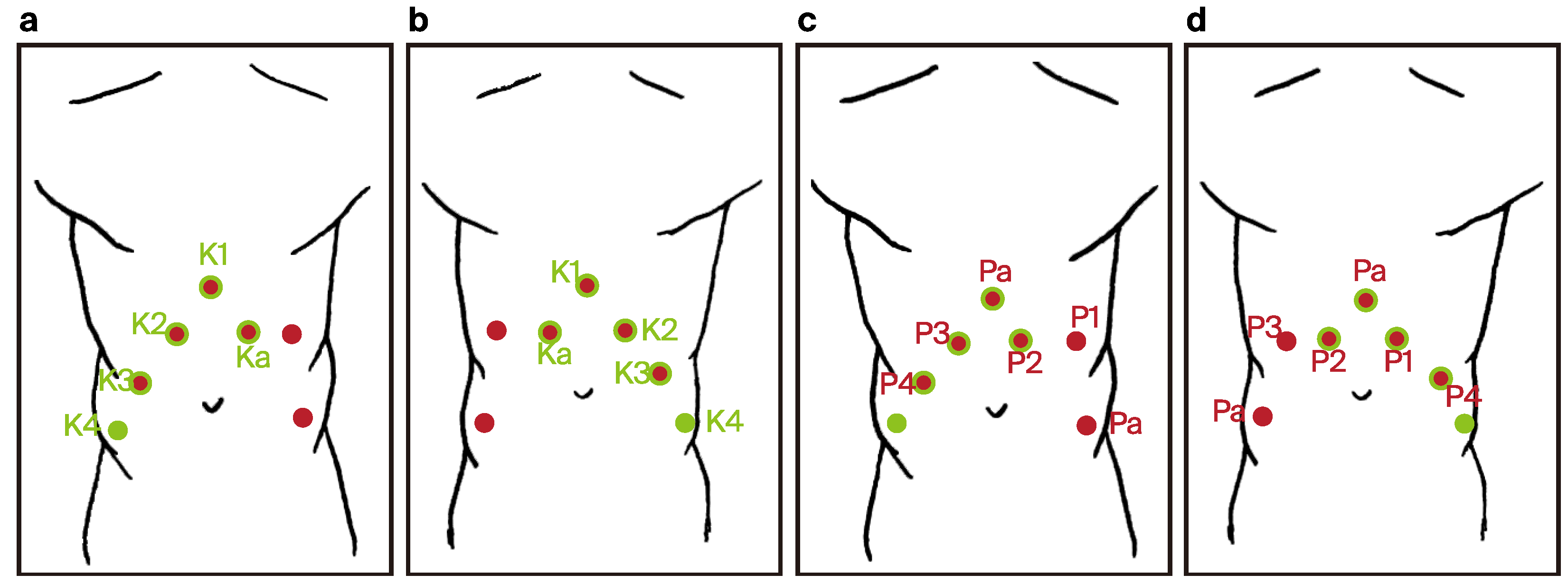 Preprints 116201 g005