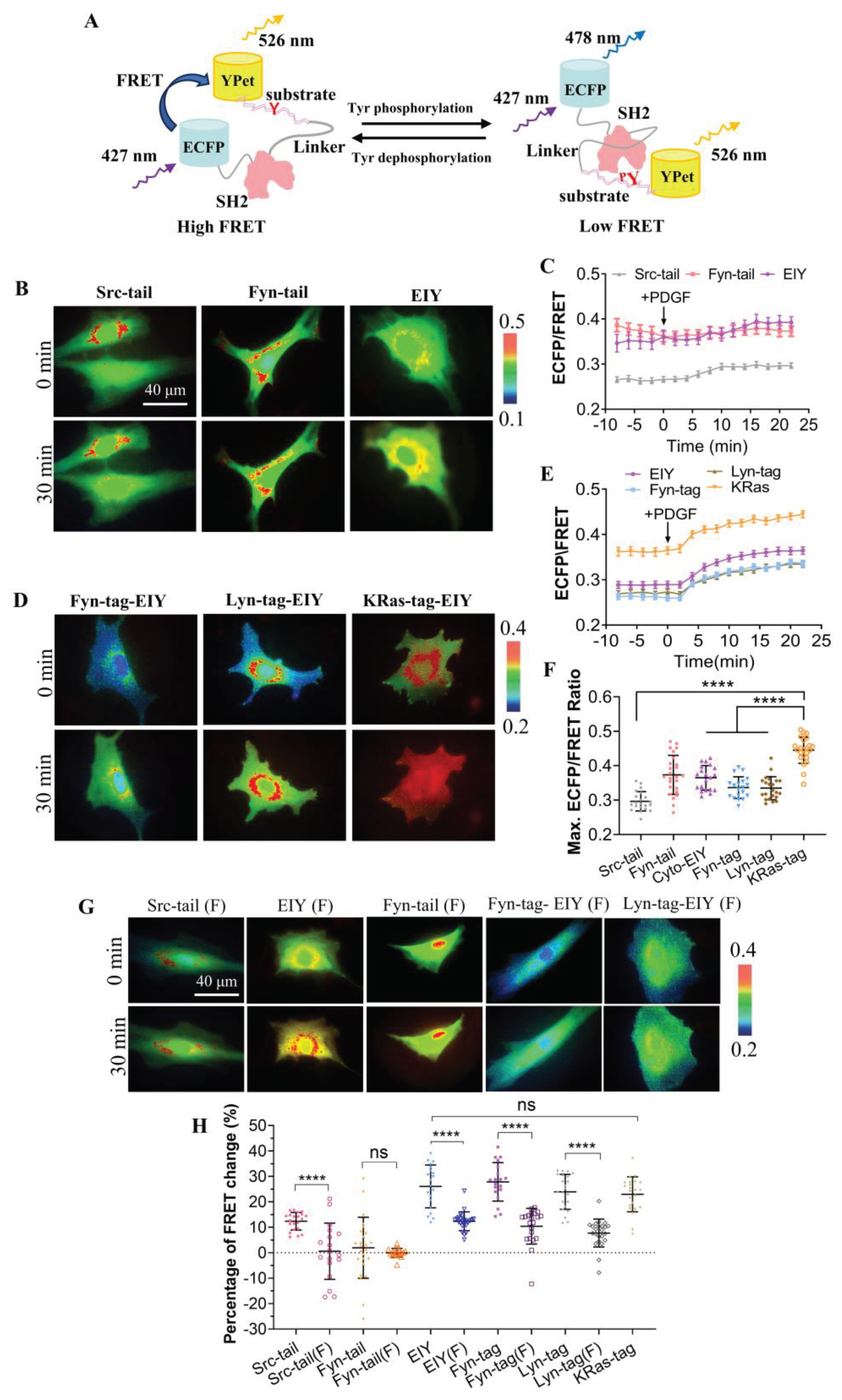 Preprints 100685 g001