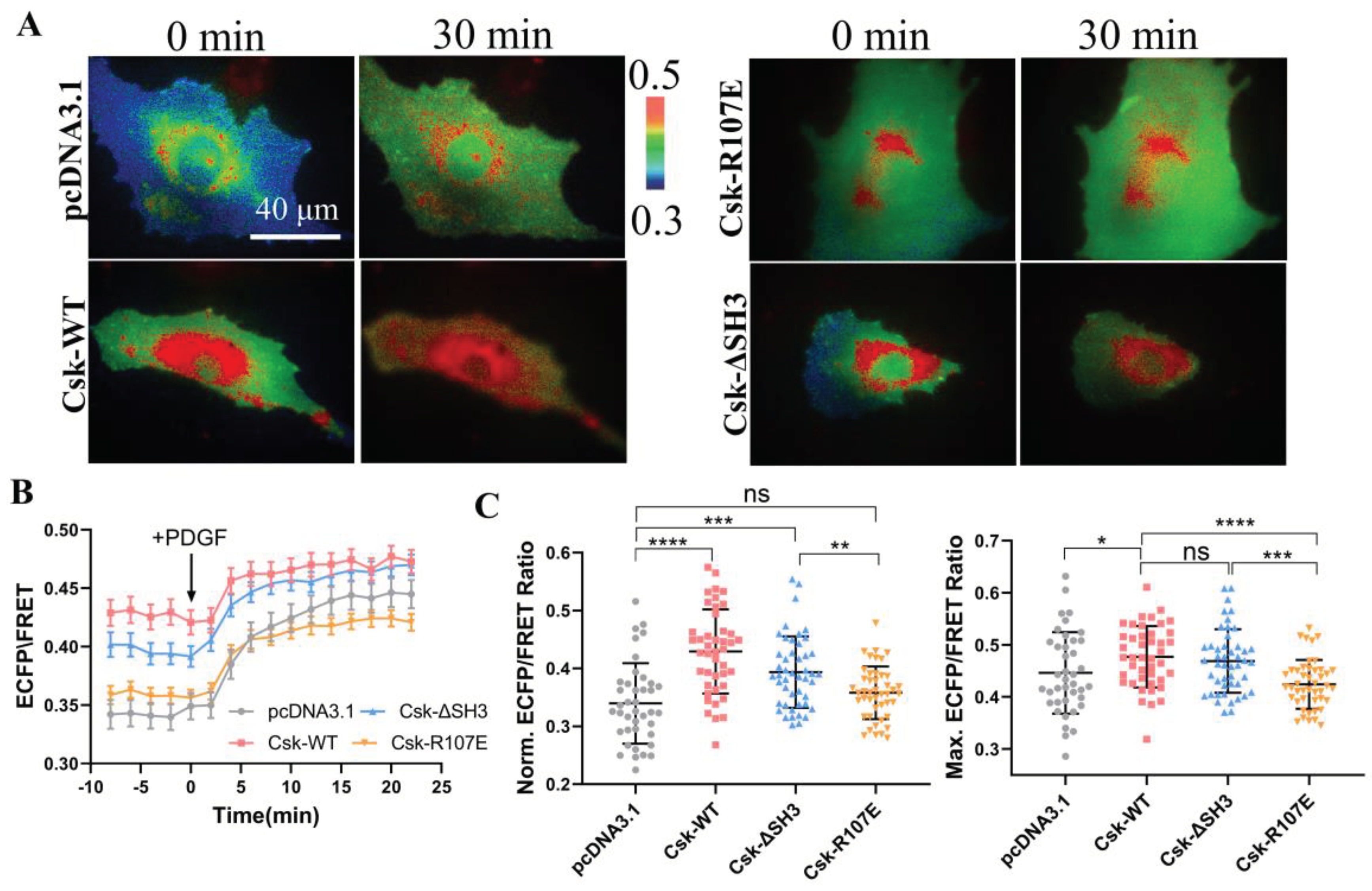 Preprints 100685 g002